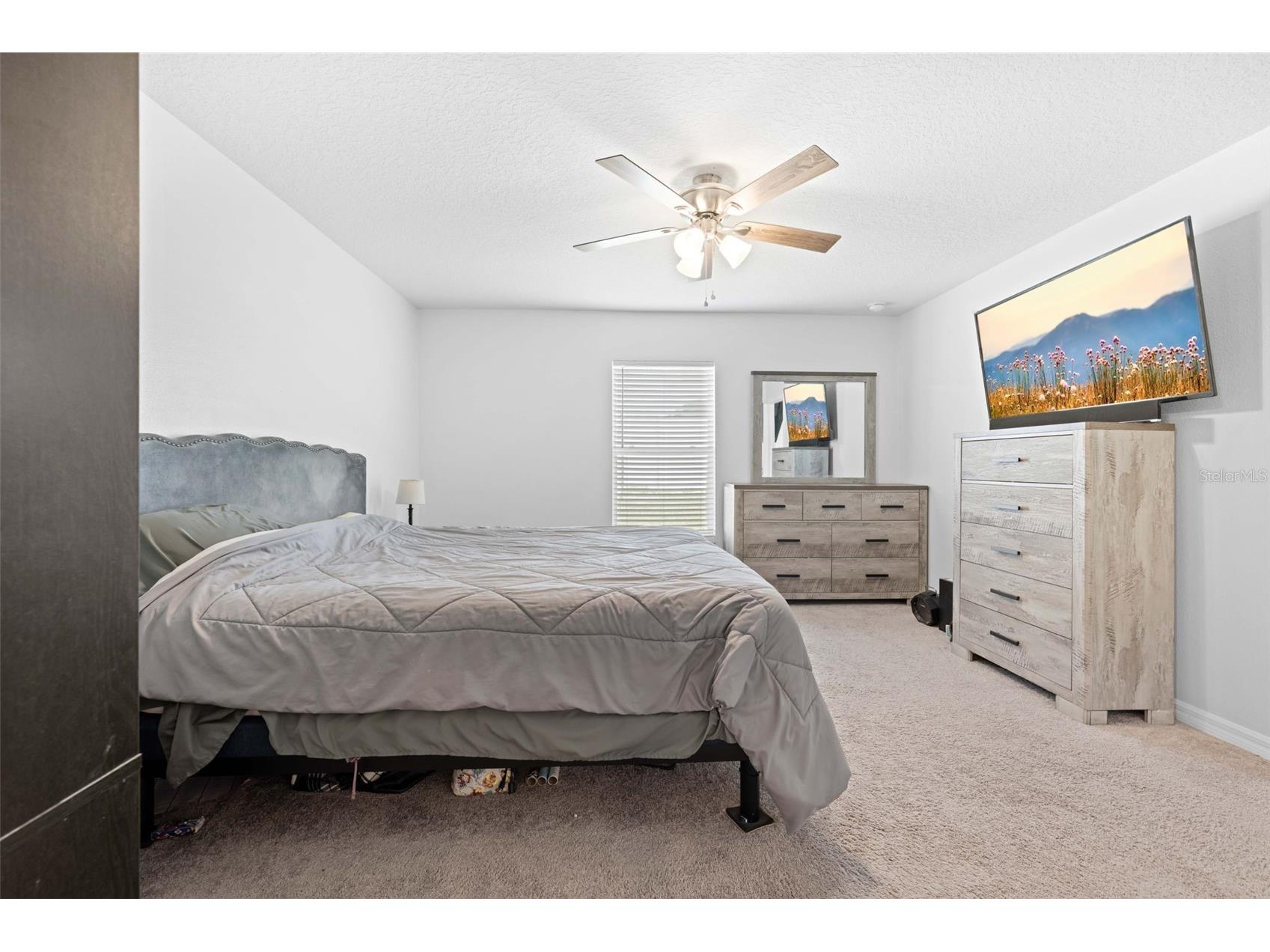 30067 Fedora Circle Brooksville FL 34602 TB8510804 image15