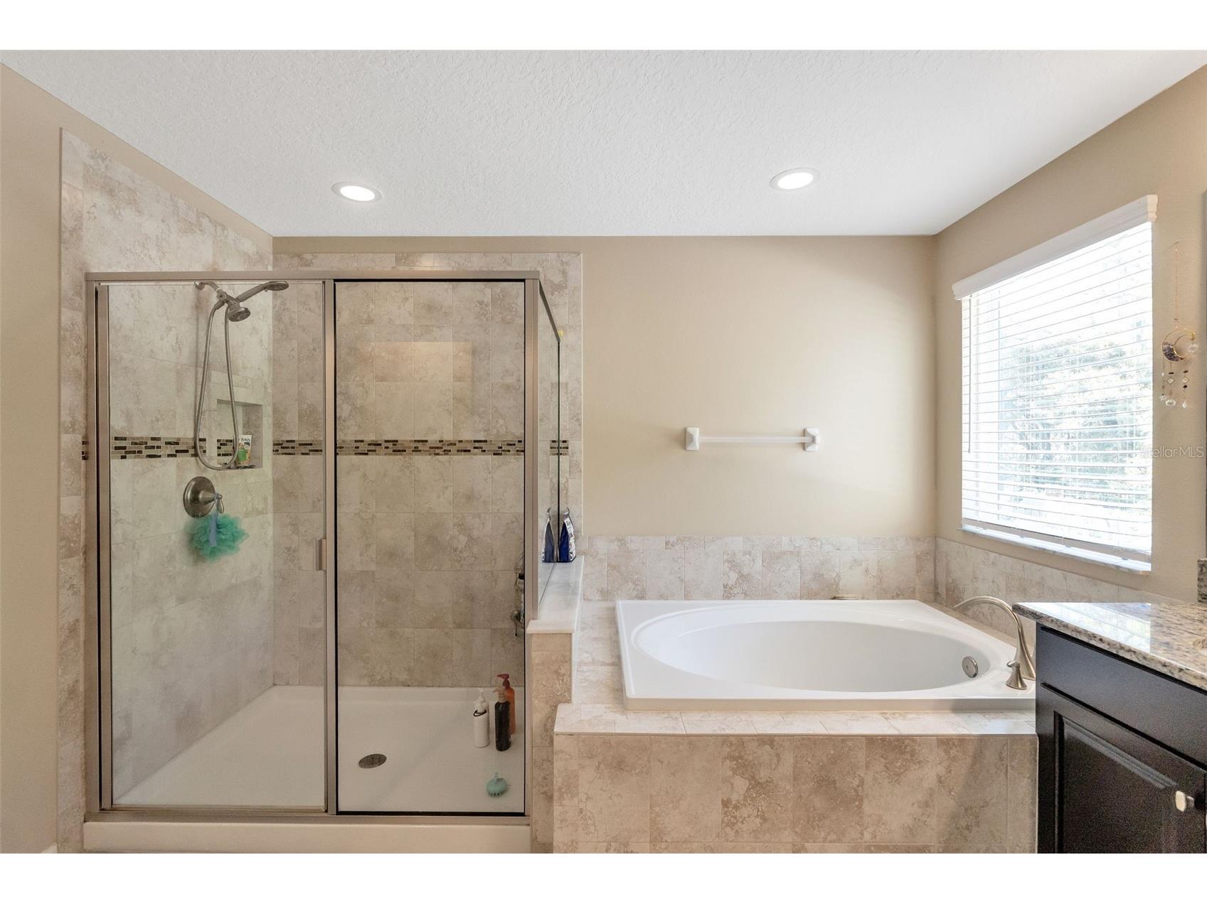 30068 Skylark Drive Wesley Chapel FL 33545 TB8490225 image26