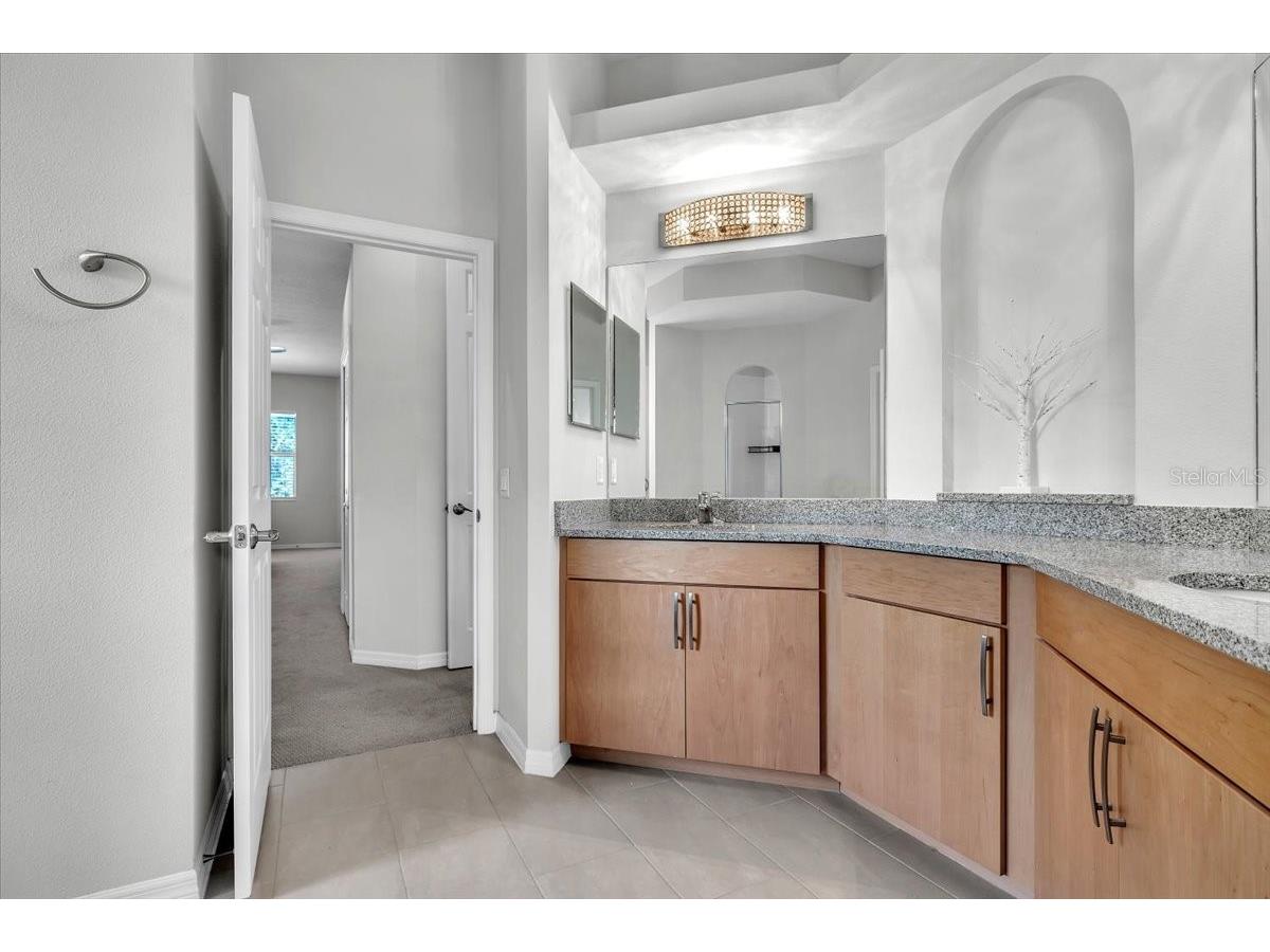 3007 160th Terrace E Parrish FL 34219 A4686818 image38