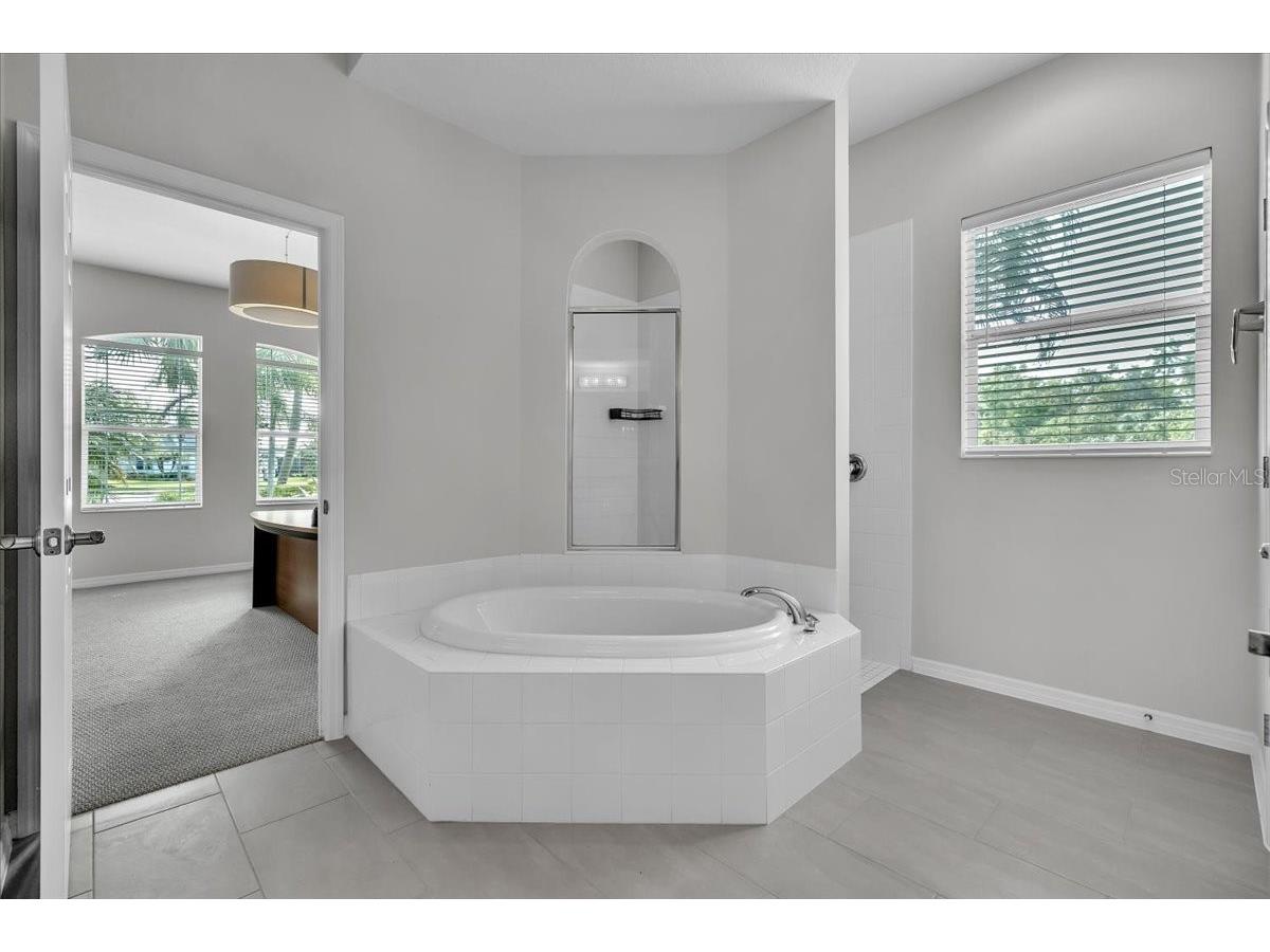 3007 160th Terrace E Parrish FL 34219 A4686818 image39