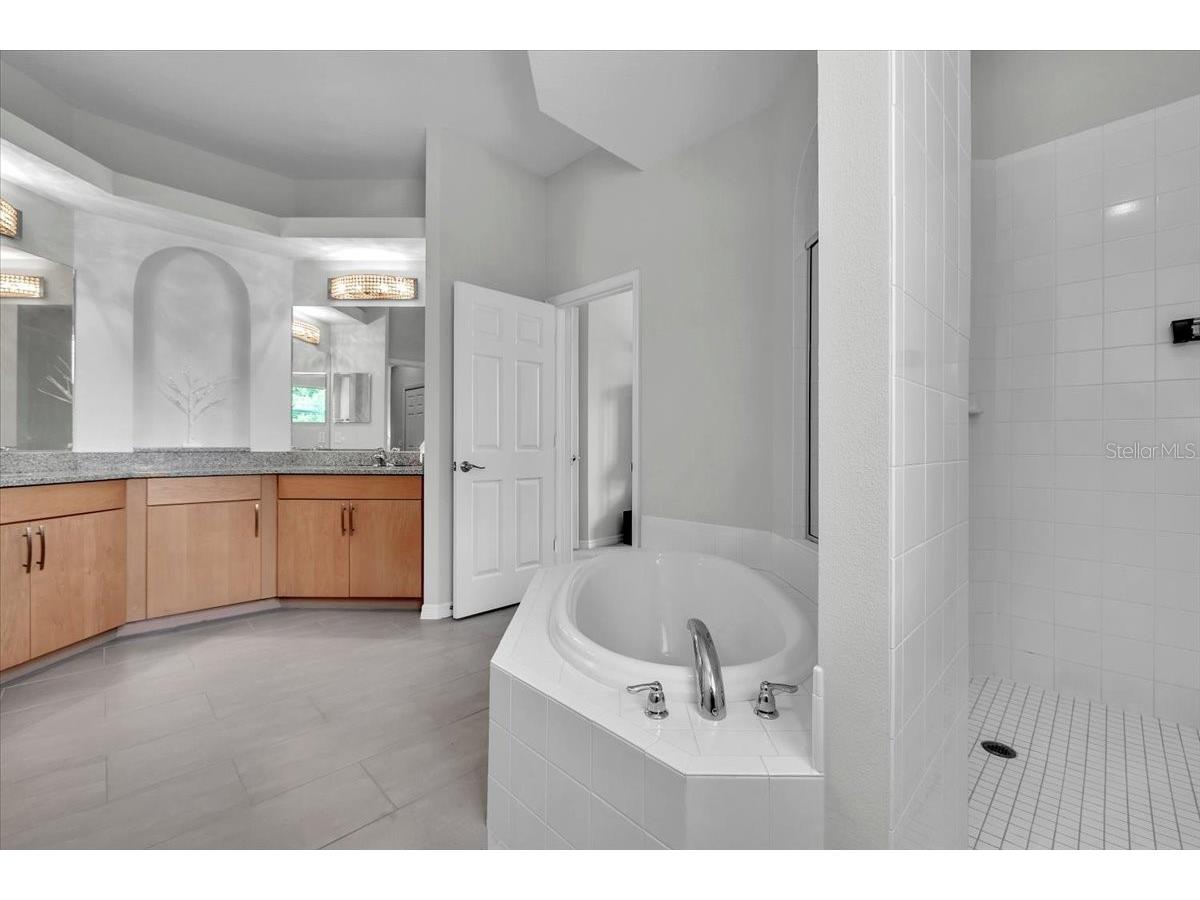 3007 160th Terrace E Parrish FL 34219 A4686818 image41