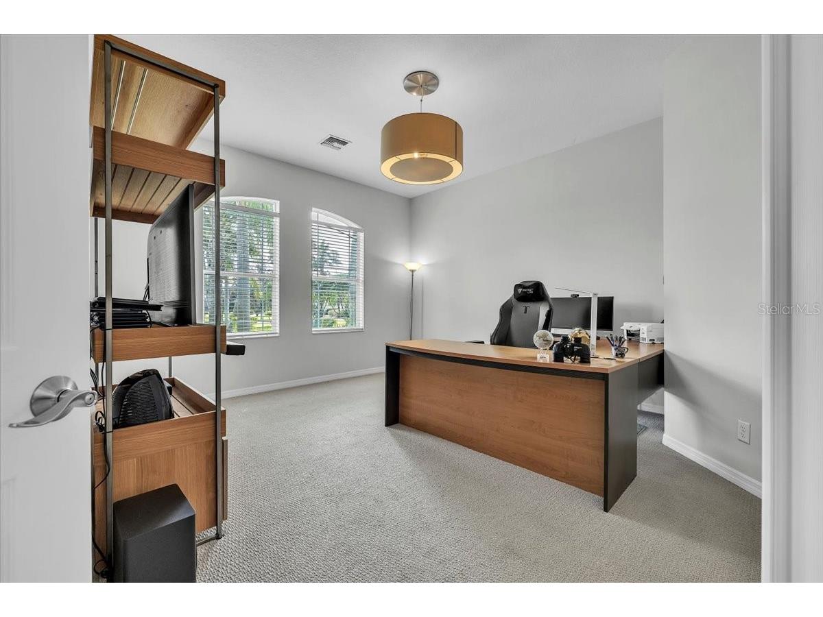 3007 160th Terrace E Parrish FL 34219 A4686818 image42