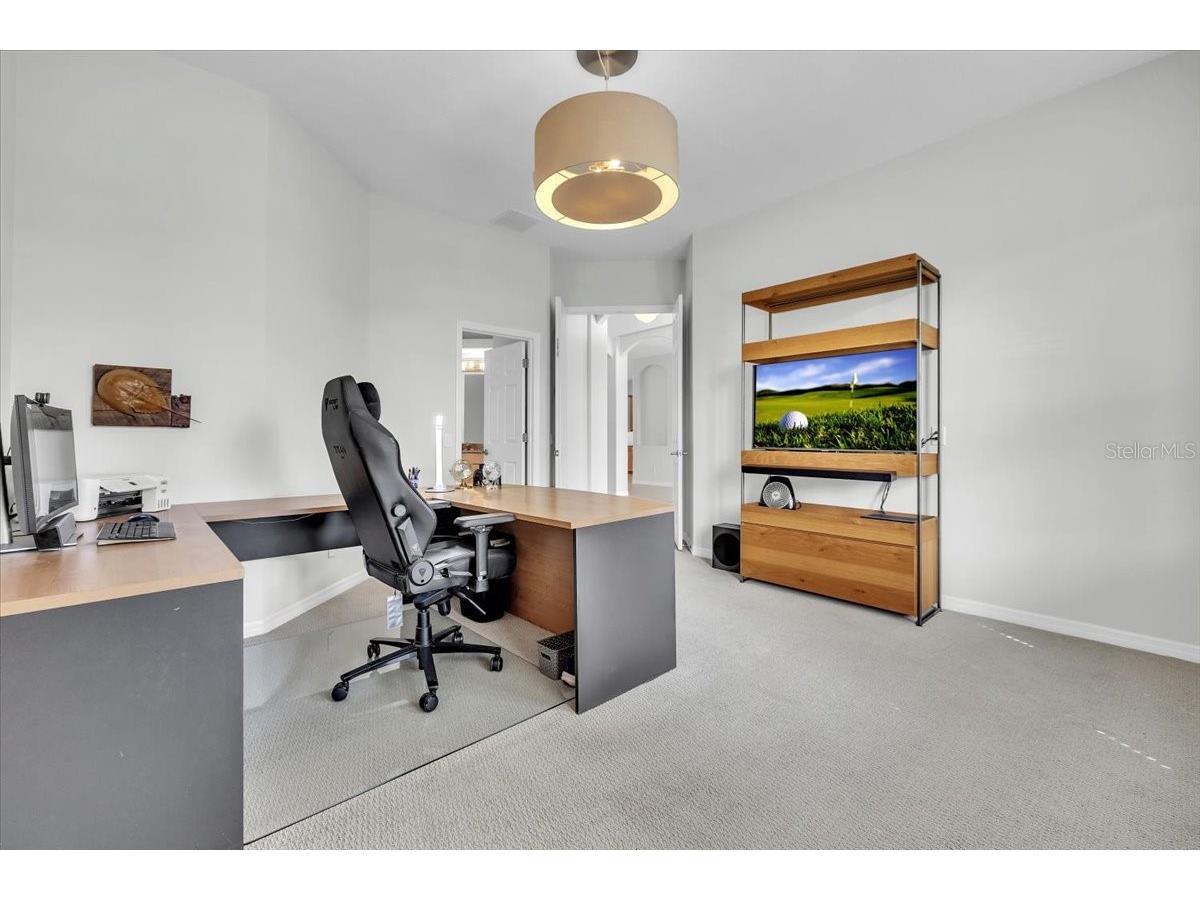 3007 160th Terrace E Parrish FL 34219 A4686818 image45