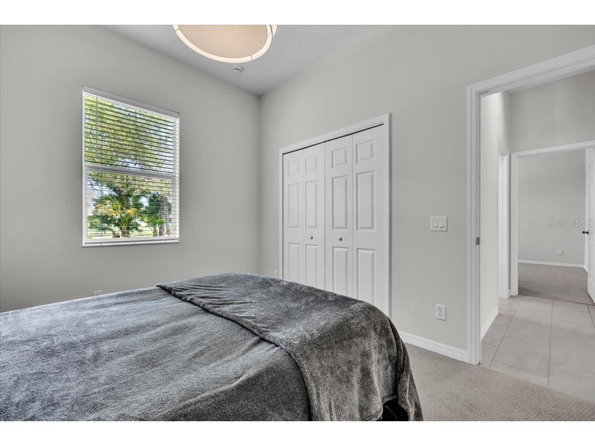 3007 160th Terrace E Parrish FL 34219 A4686818 image46