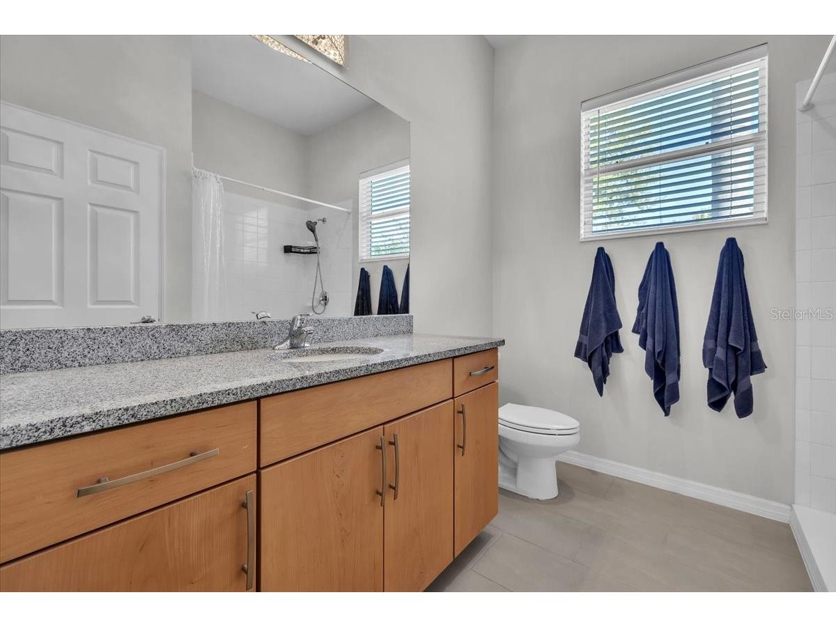 3007 160th Terrace E Parrish FL 34219 A4686818 image49