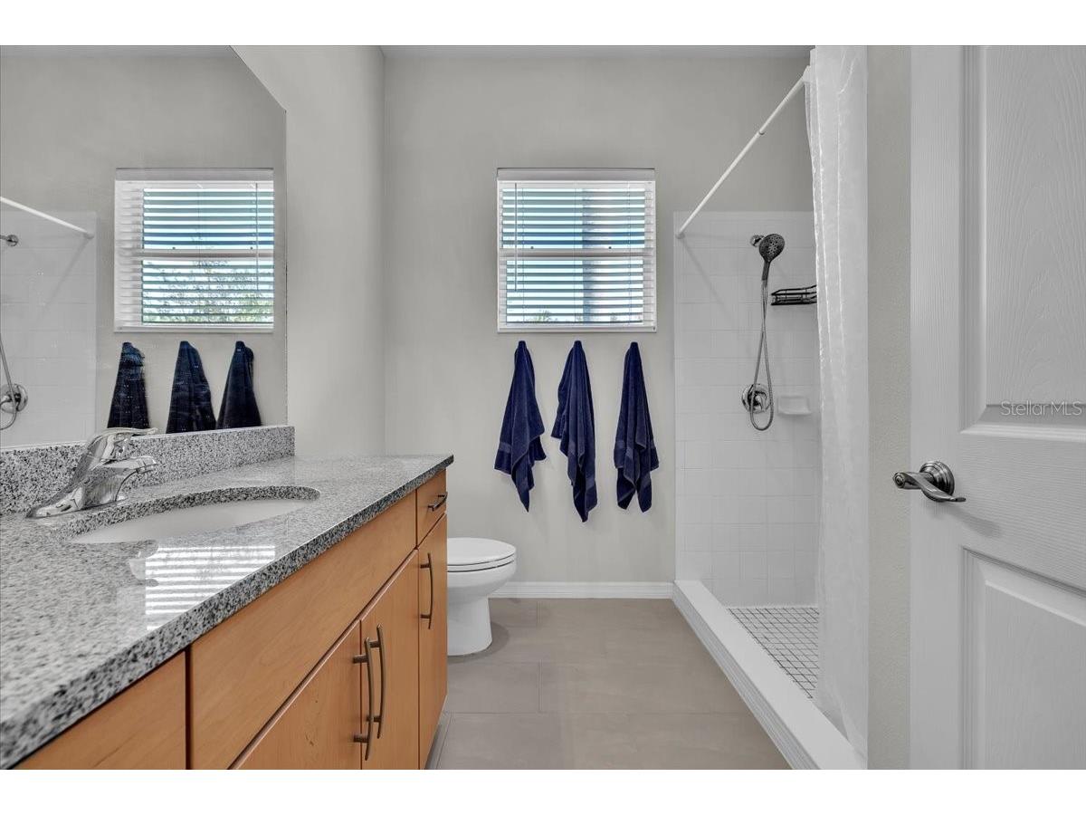 3007 160th Terrace E Parrish FL 34219 A4686818 image50