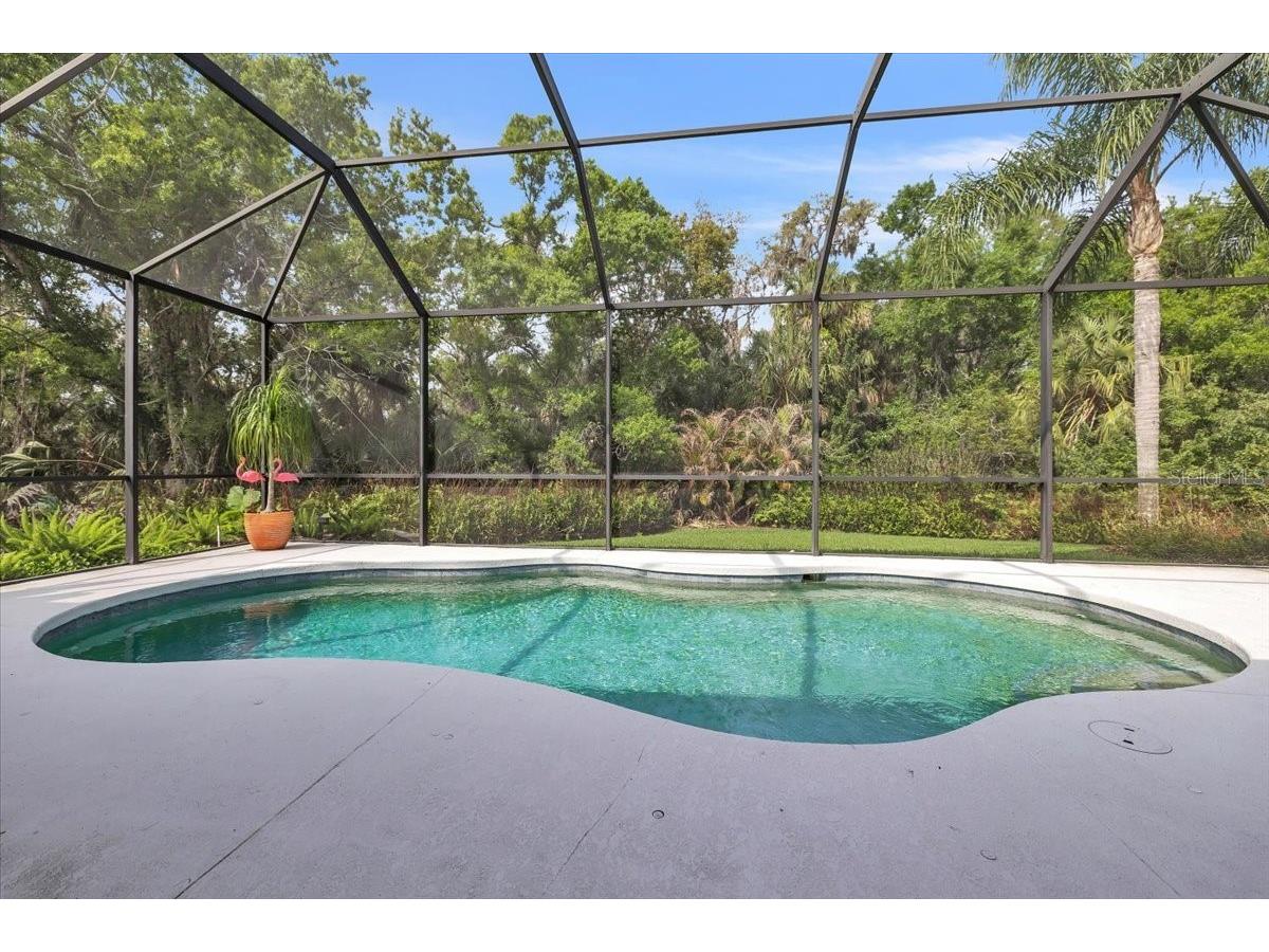 3007 160th Terrace E Parrish FL 34219 A4686818 image58