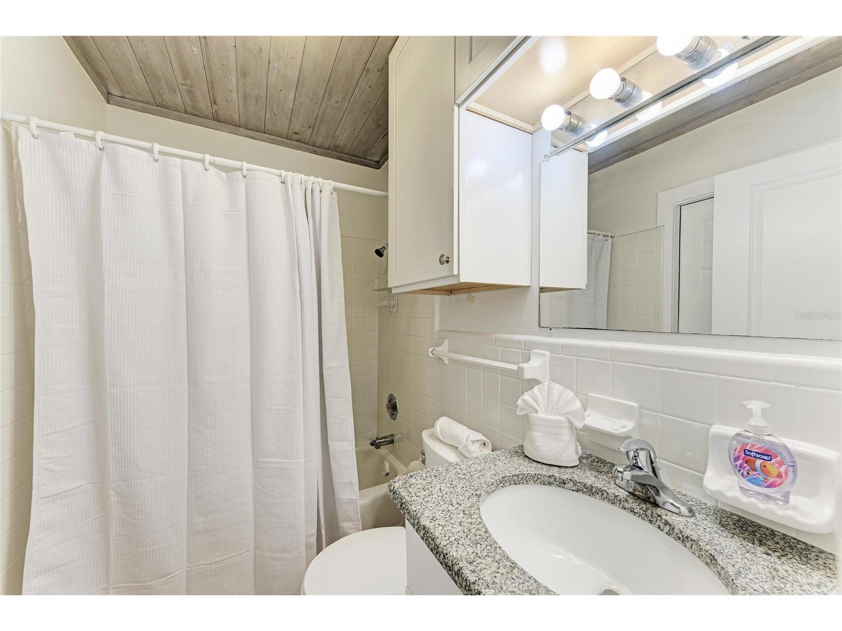 3007 Avenue F Holmes Beach FL 34217 - THE GULF A4682622 image70