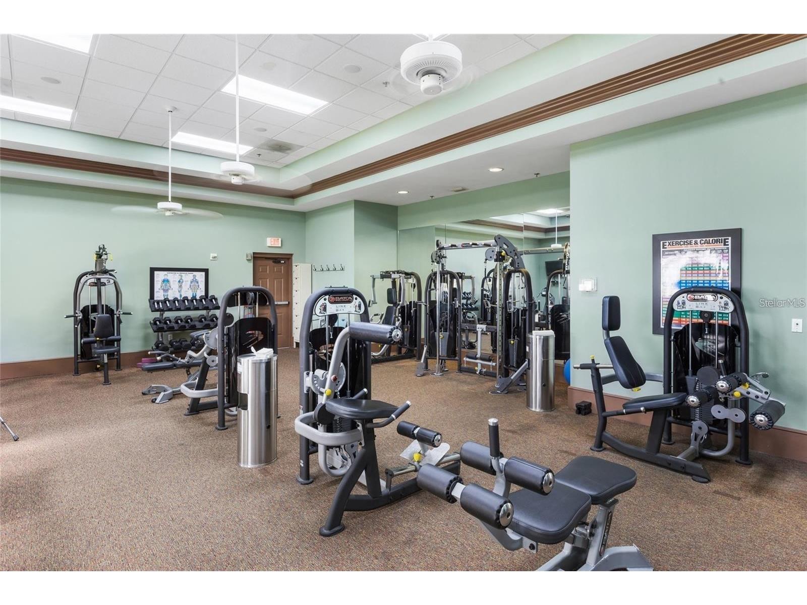 3007 Caneel Street Winter Haven FL 33884 - LAKE RUBY O6379730 image41