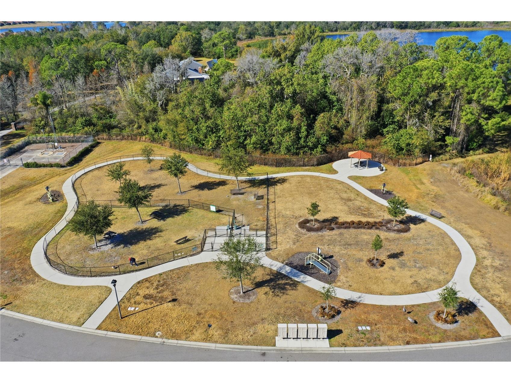 3007 Caneel Street Winter Haven FL 33884 - LAKE RUBY O6379730 image46