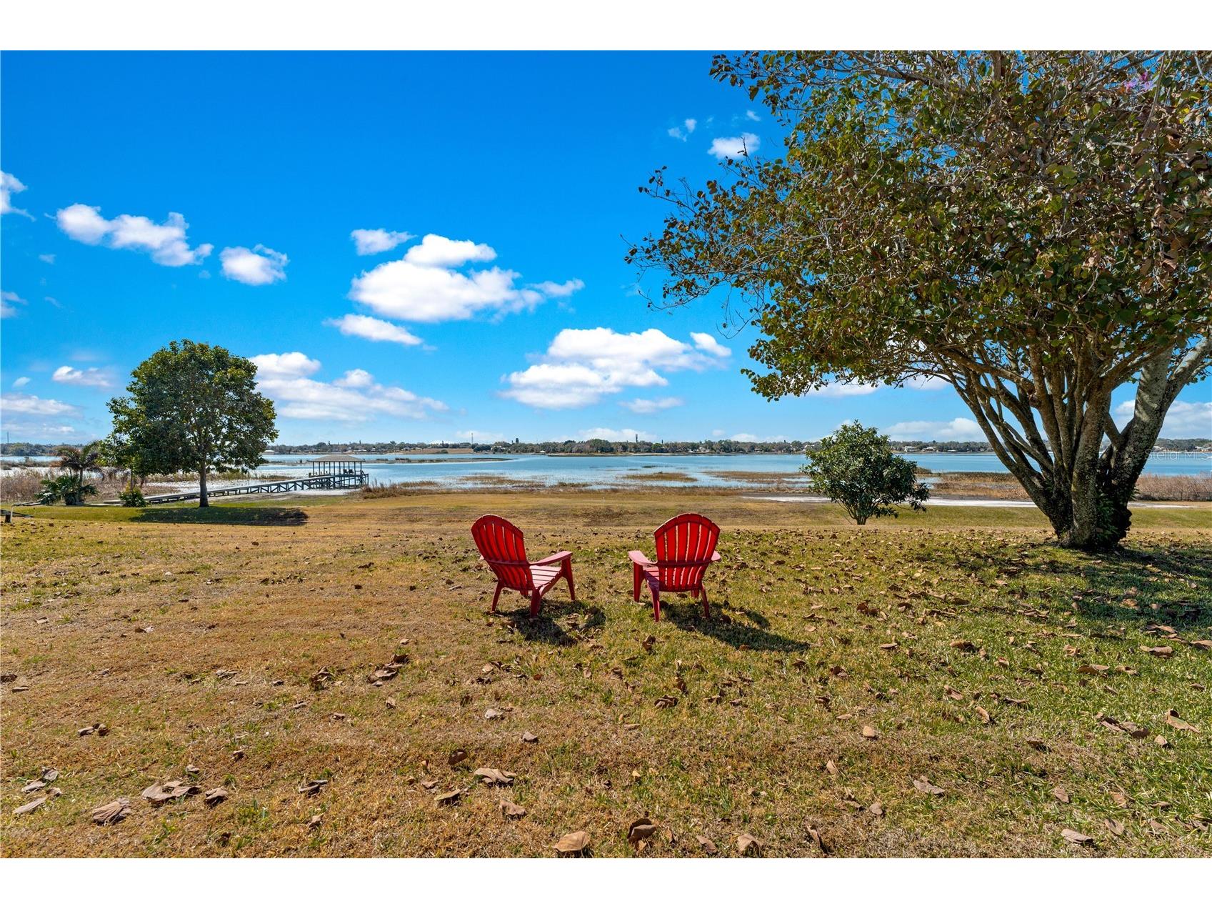 3007 Cedora Terrace Sebring FL 33870 - Dinner Lake TB8476672 image4