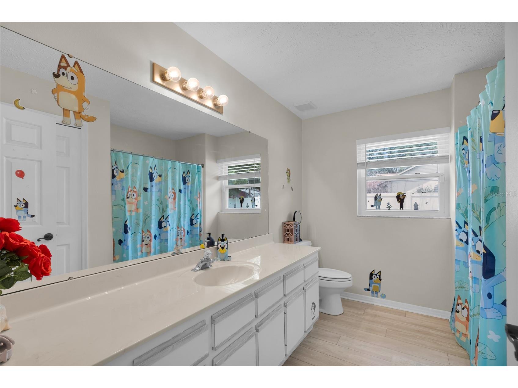 3007 Dupont Street Eustis FL 32726 G5112609 image21