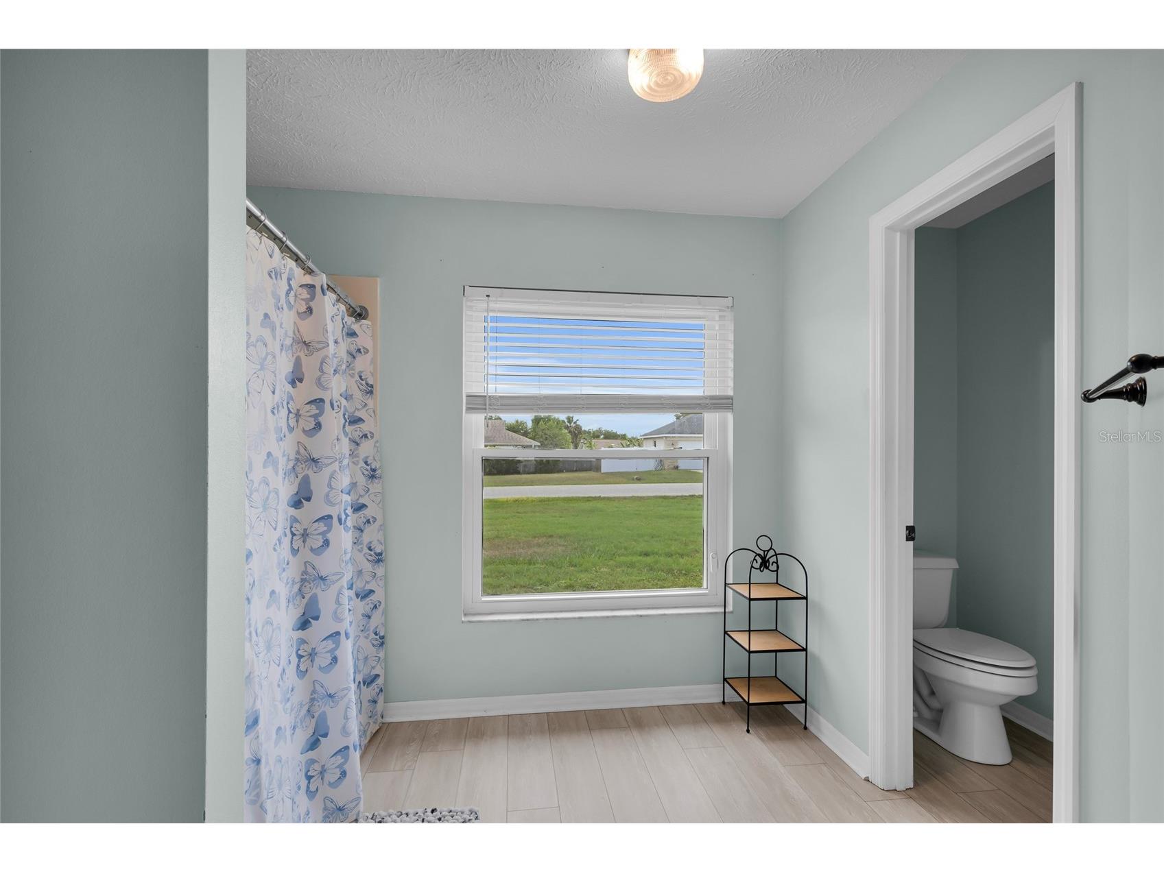 3007 Dupont Street Eustis FL 32726 G5112609 image25