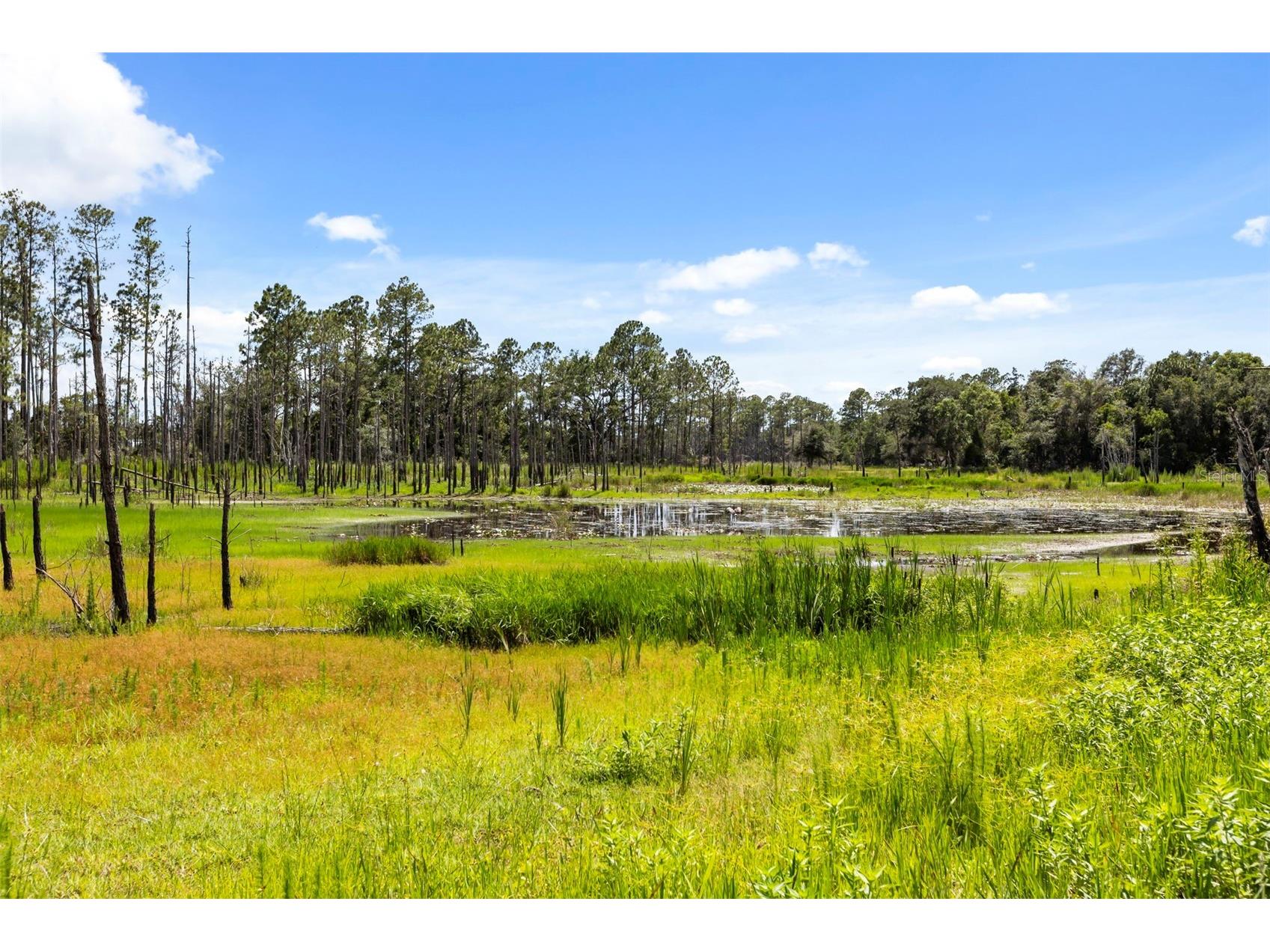 3007 Fayson Circle Deltona FL 32738 O6415228 image39
