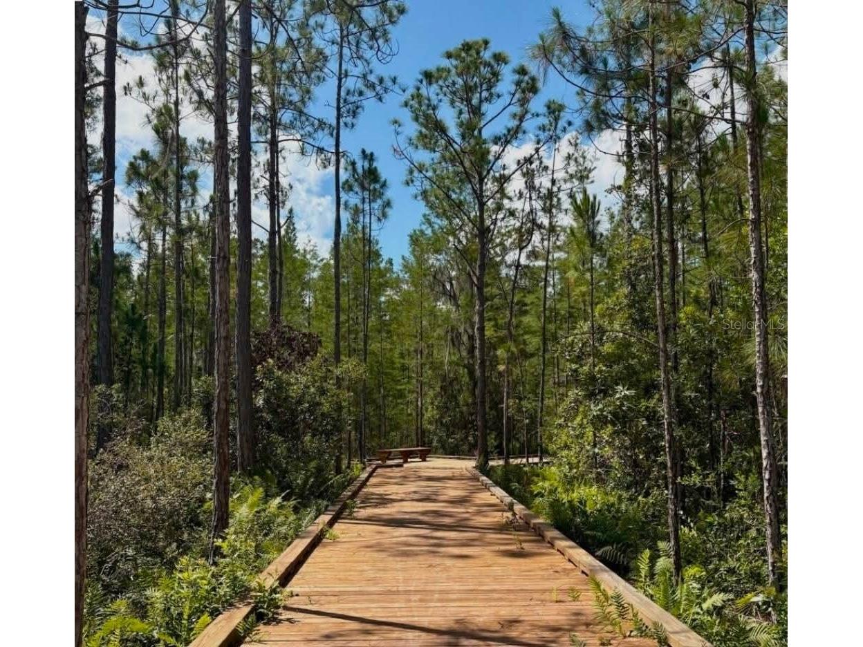 3007 Mirage Place Saint Cloud FL 34771 L4958461 image72