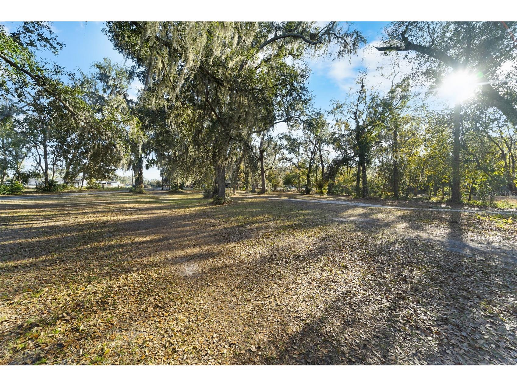 3007 Owls Nest Lane Plant City FL 33565 TB8479321 image1