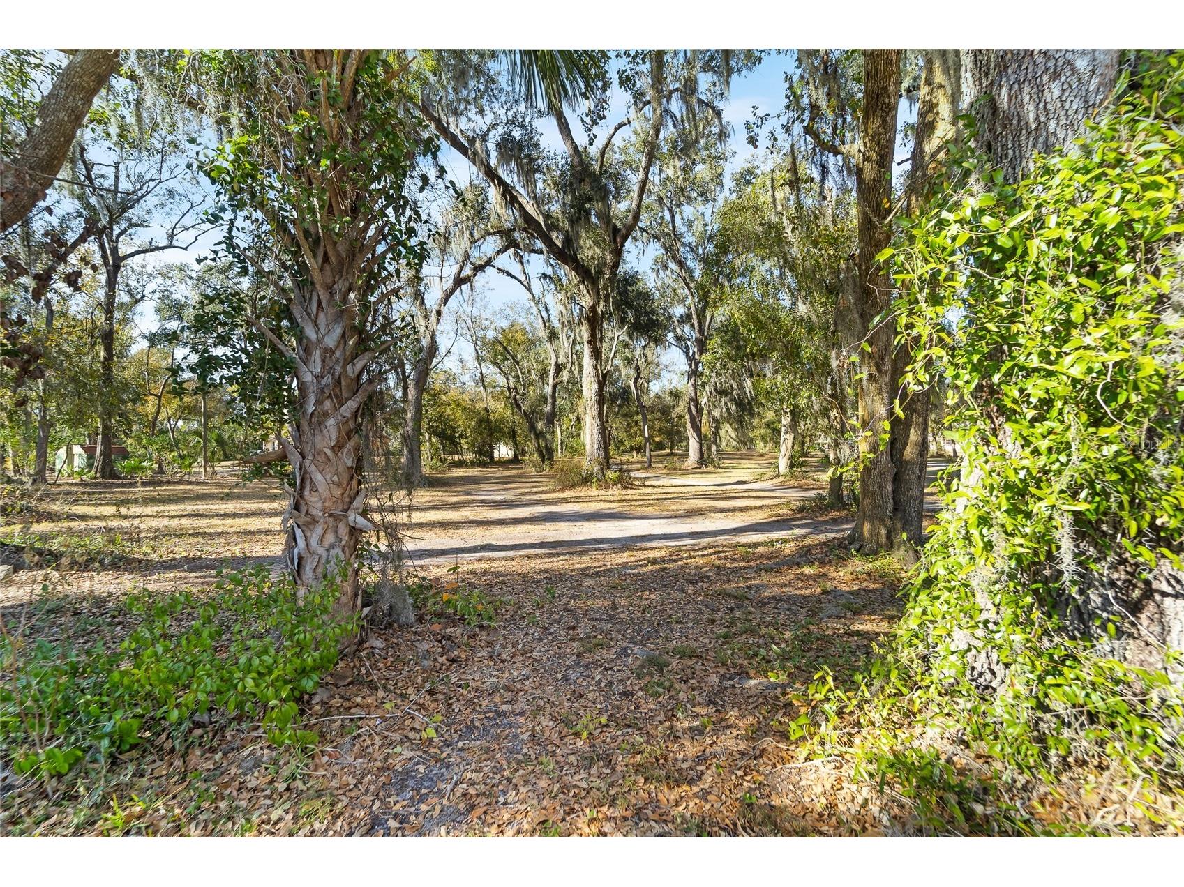 3007 Owls Nest Lane Plant City FL 33565 TB8479321 image10