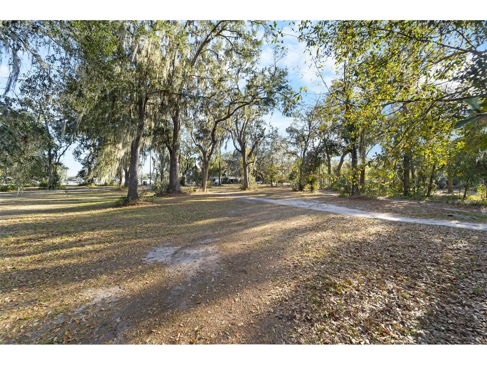 3007 Owls Nest Lane Plant City FL 33565 TB8479321 image12