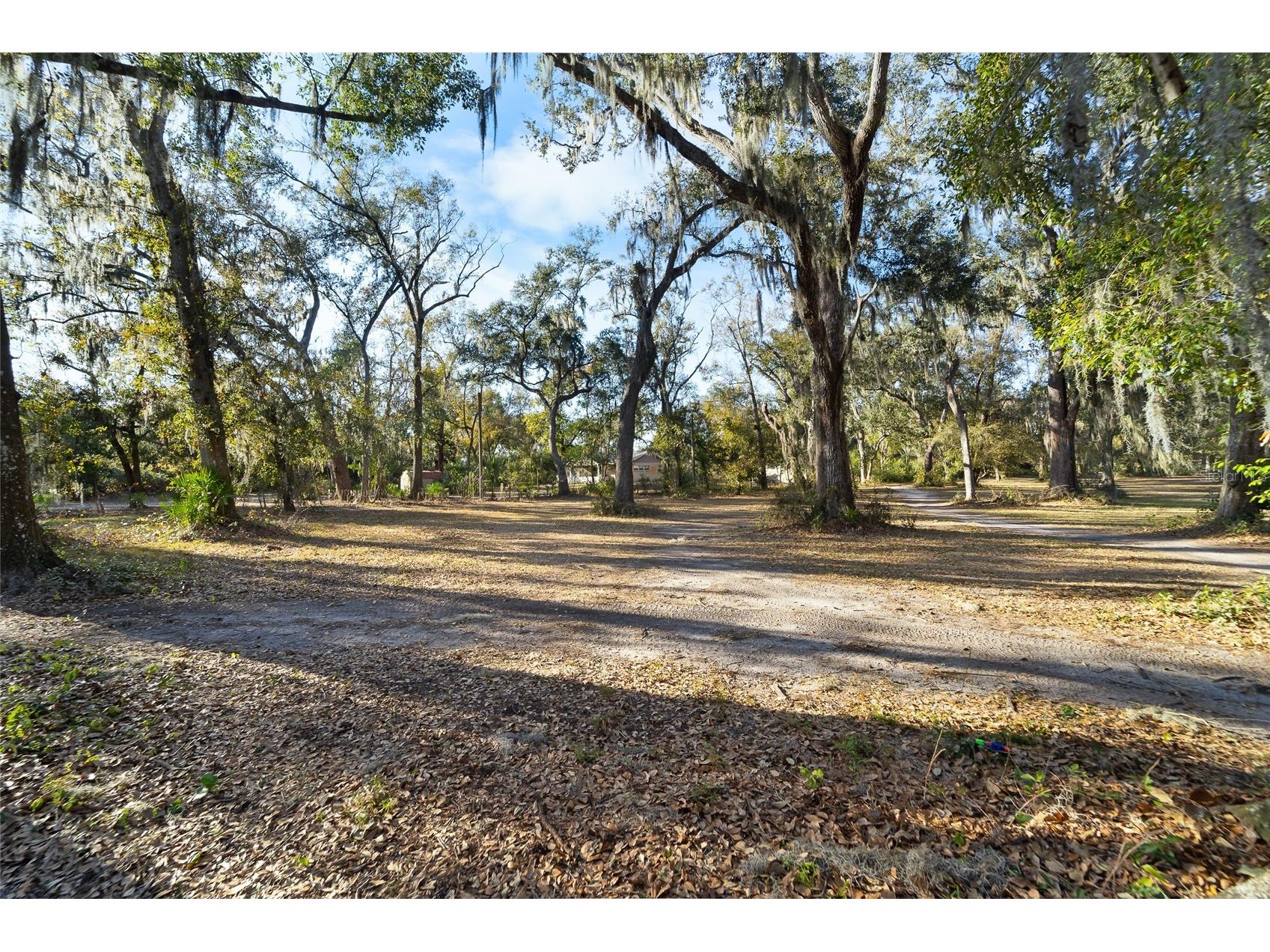 3007 Owls Nest Lane Plant City FL 33565 TB8479321 image13