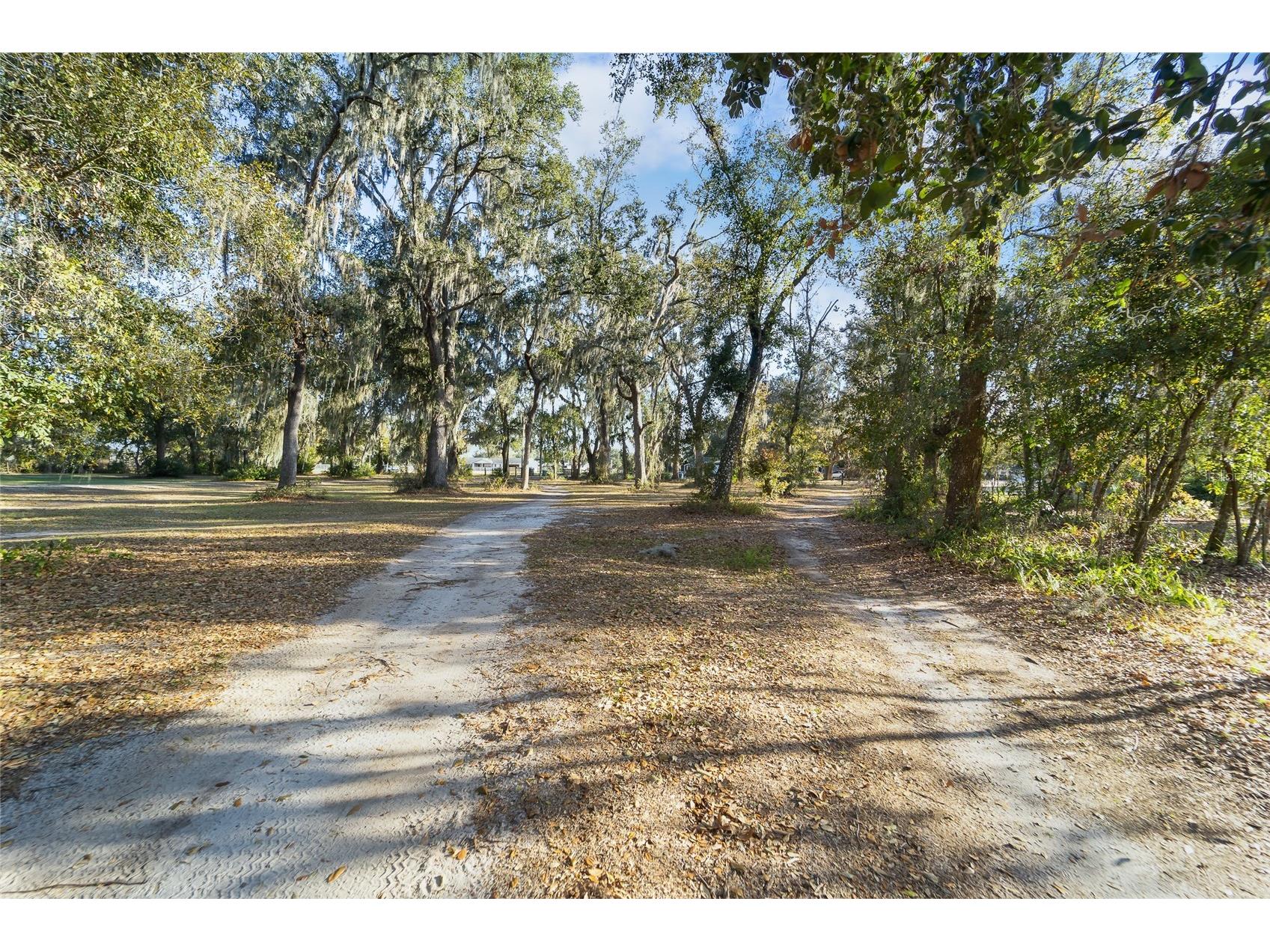 3007 Owls Nest Lane Plant City FL 33565 TB8479321 image14