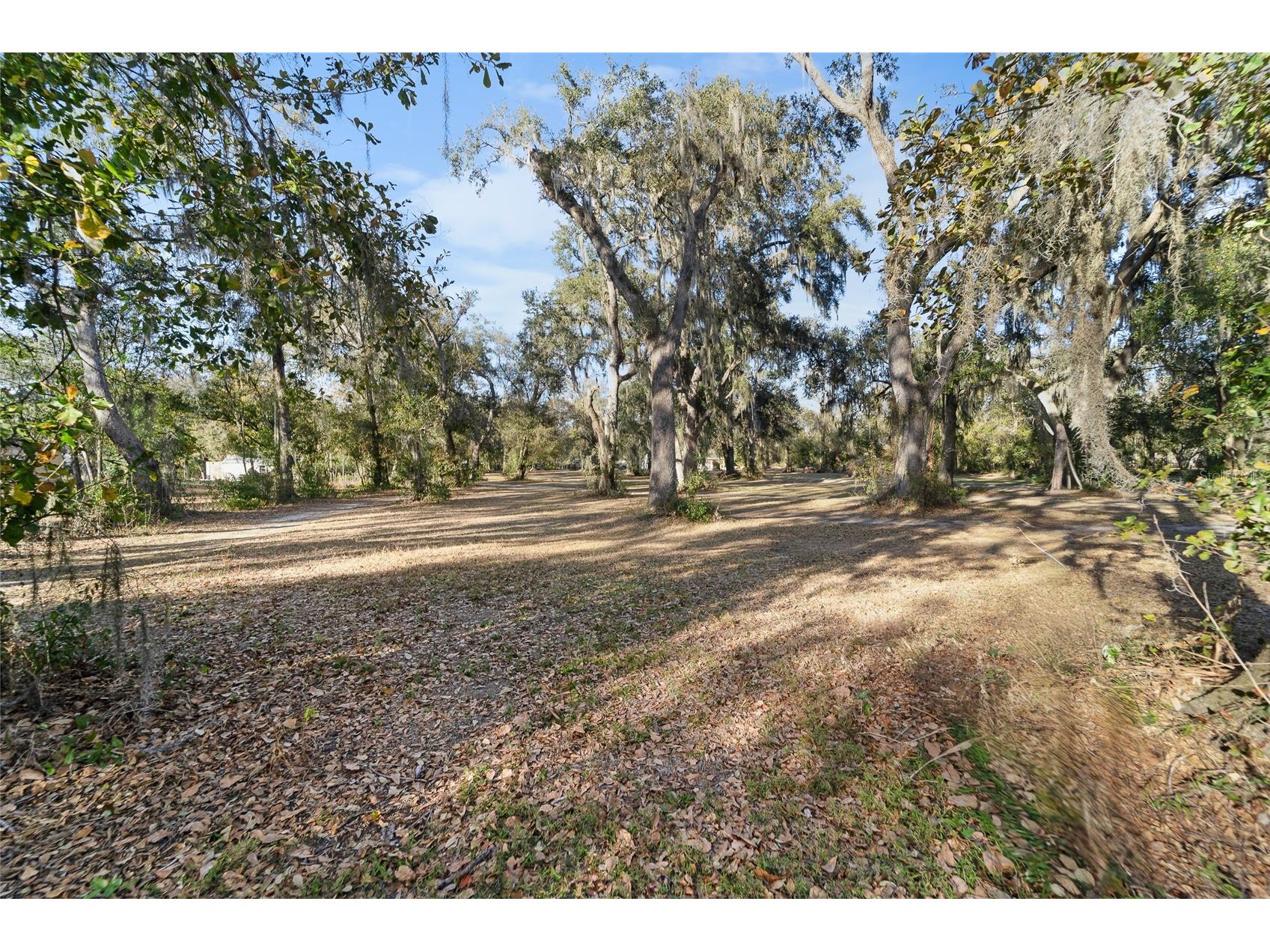 3007 Owls Nest Lane Plant City FL 33565 TB8479321 image16