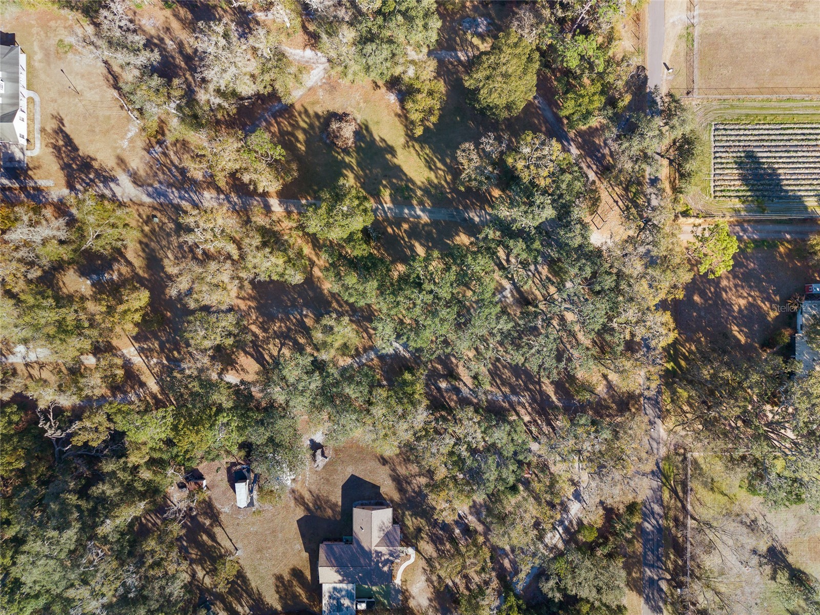 3007 Owls Nest Lane Plant City FL 33565 TB8479321 image2