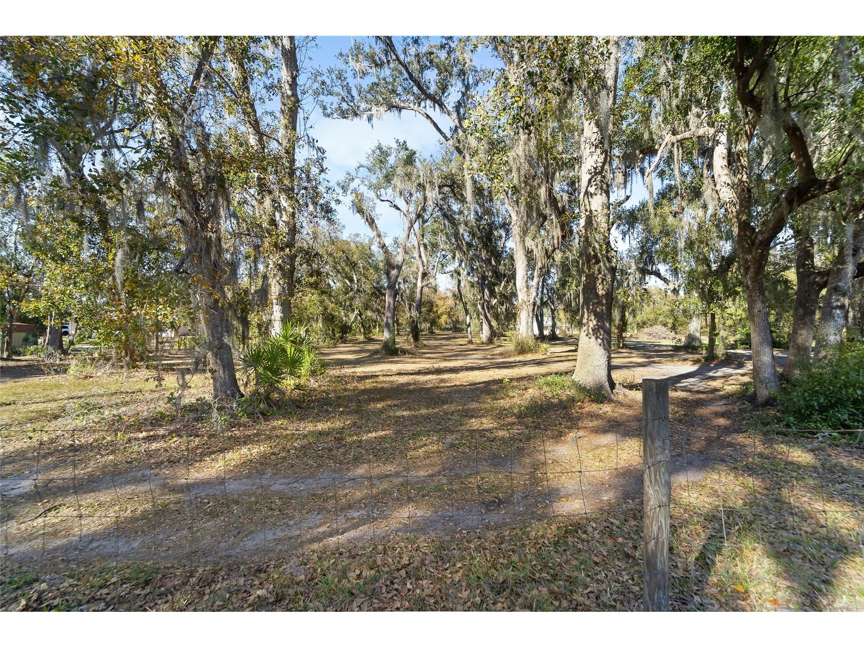3007 Owls Nest Lane Plant City FL 33565 TB8479321 image9