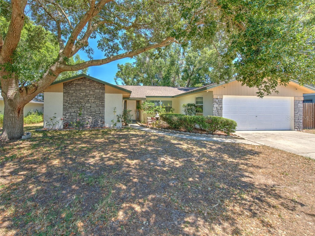 3007 Ripplewood Drive Seffner FL 33584 T3438470 image1
