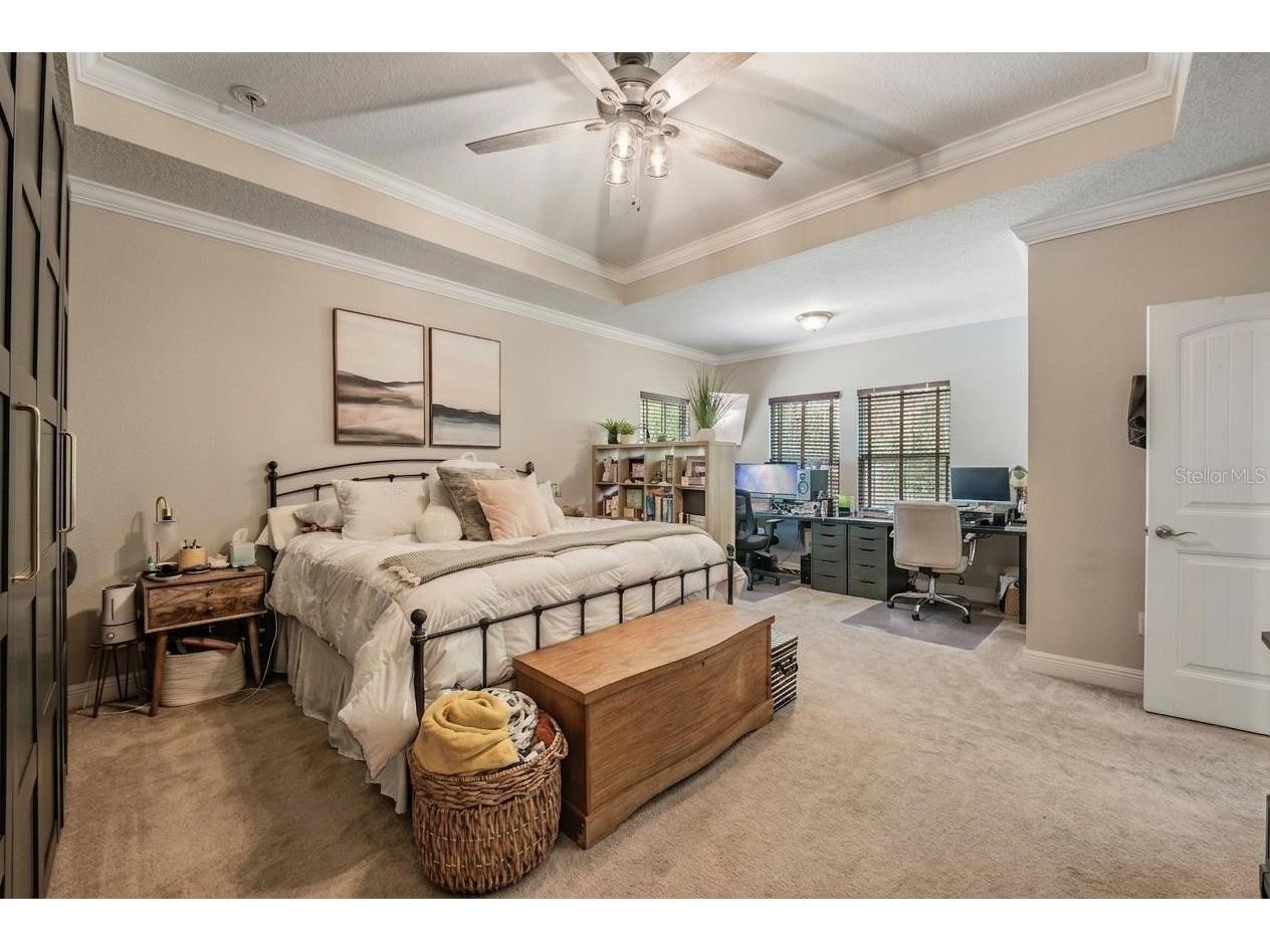 3007 W Palmira Avenue Tampa FL 33629 TB8510457 image22
