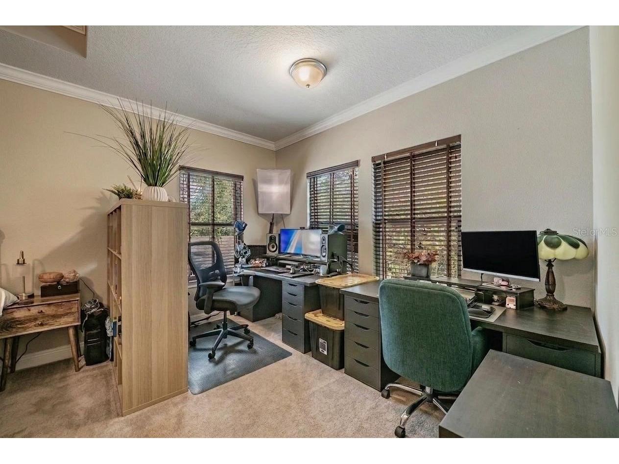 3007 W Palmira Avenue Tampa FL 33629 TB8510457 image24