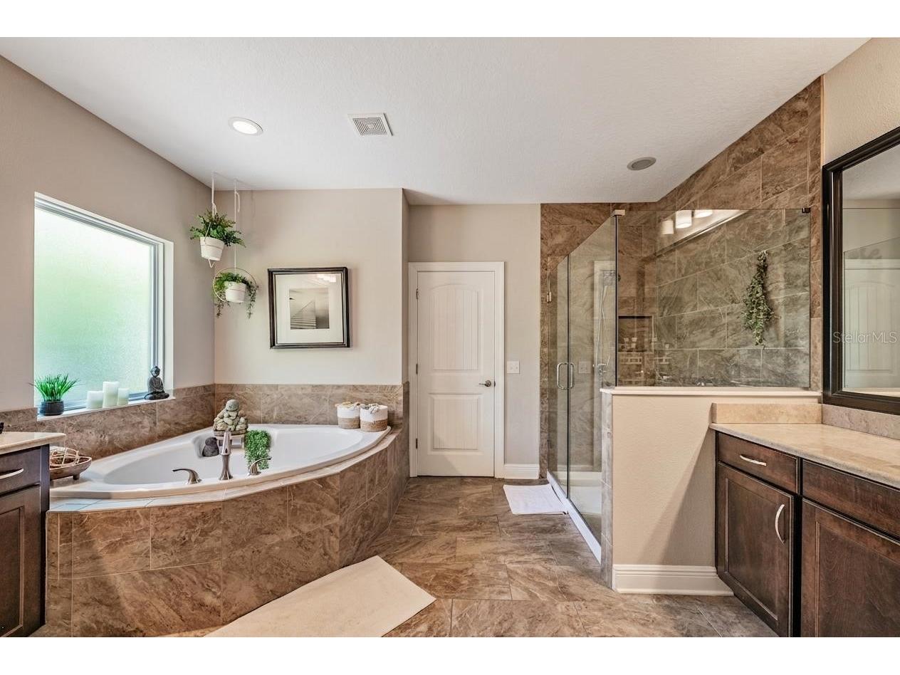 3007 W Palmira Avenue Tampa FL 33629 TB8510457 image26