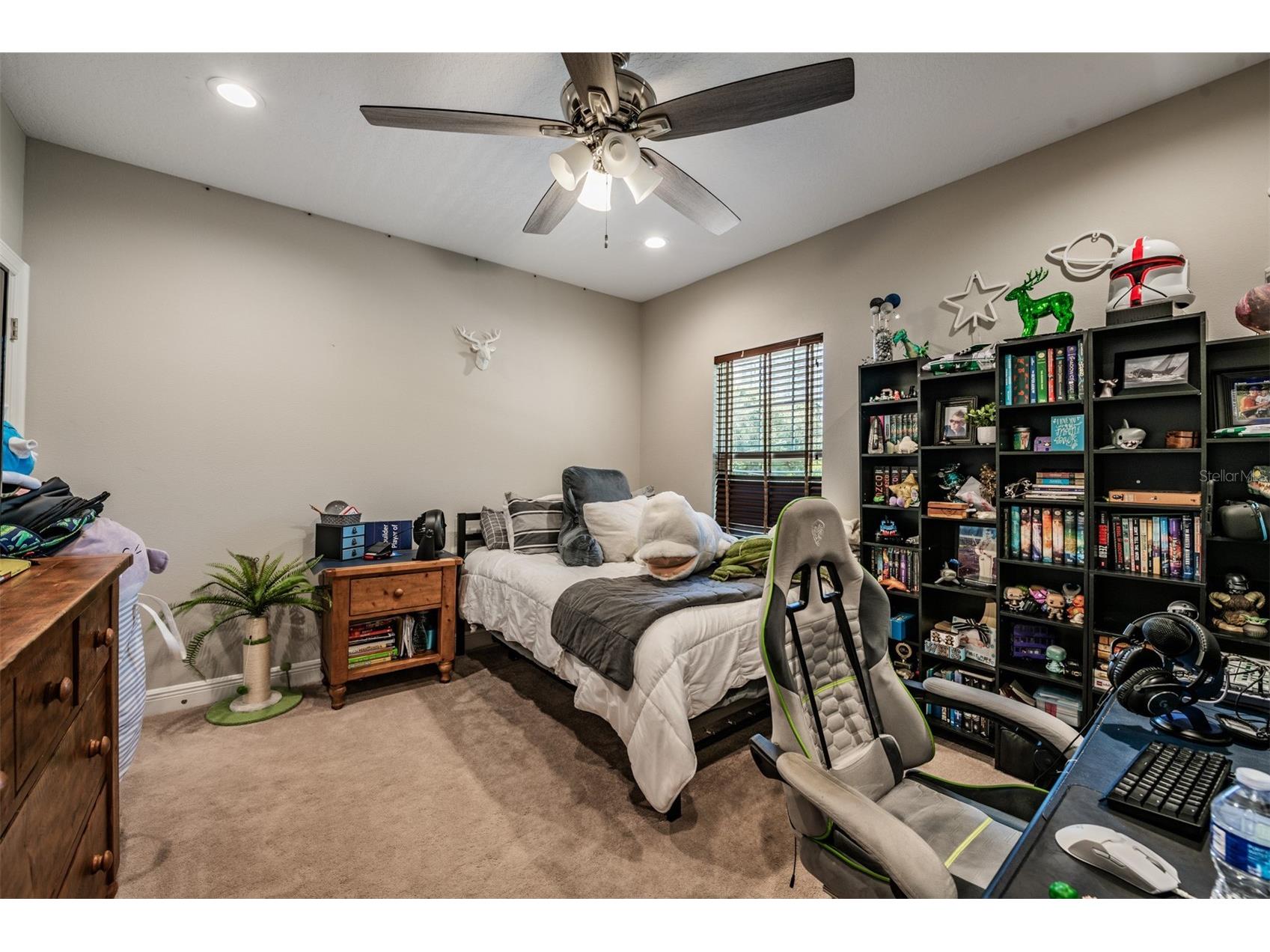 3007 W Palmira Avenue Tampa FL 33629 TB8510457 image30