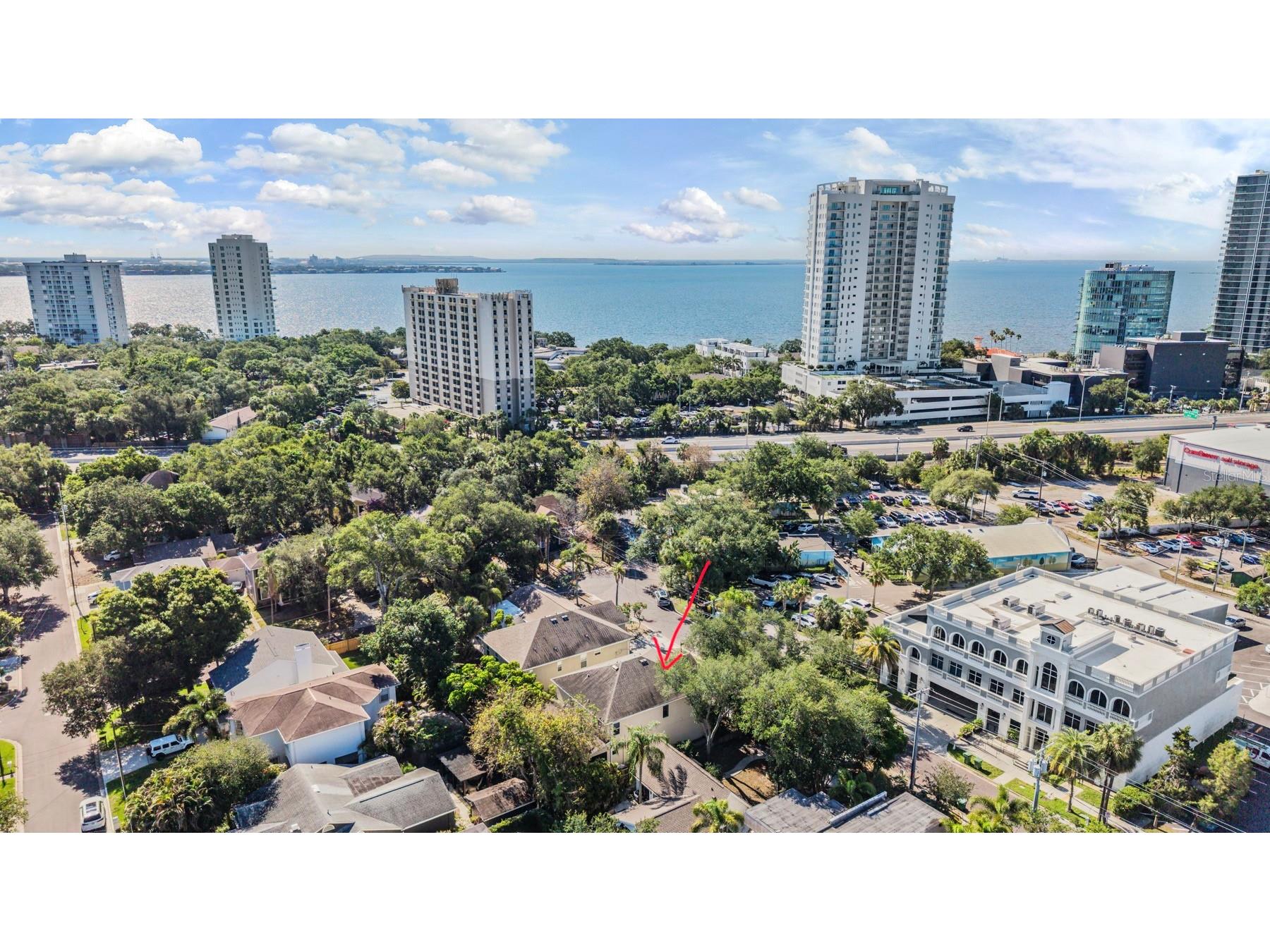 3007 W Palmira Avenue Tampa FL 33629 TB8510457 image4