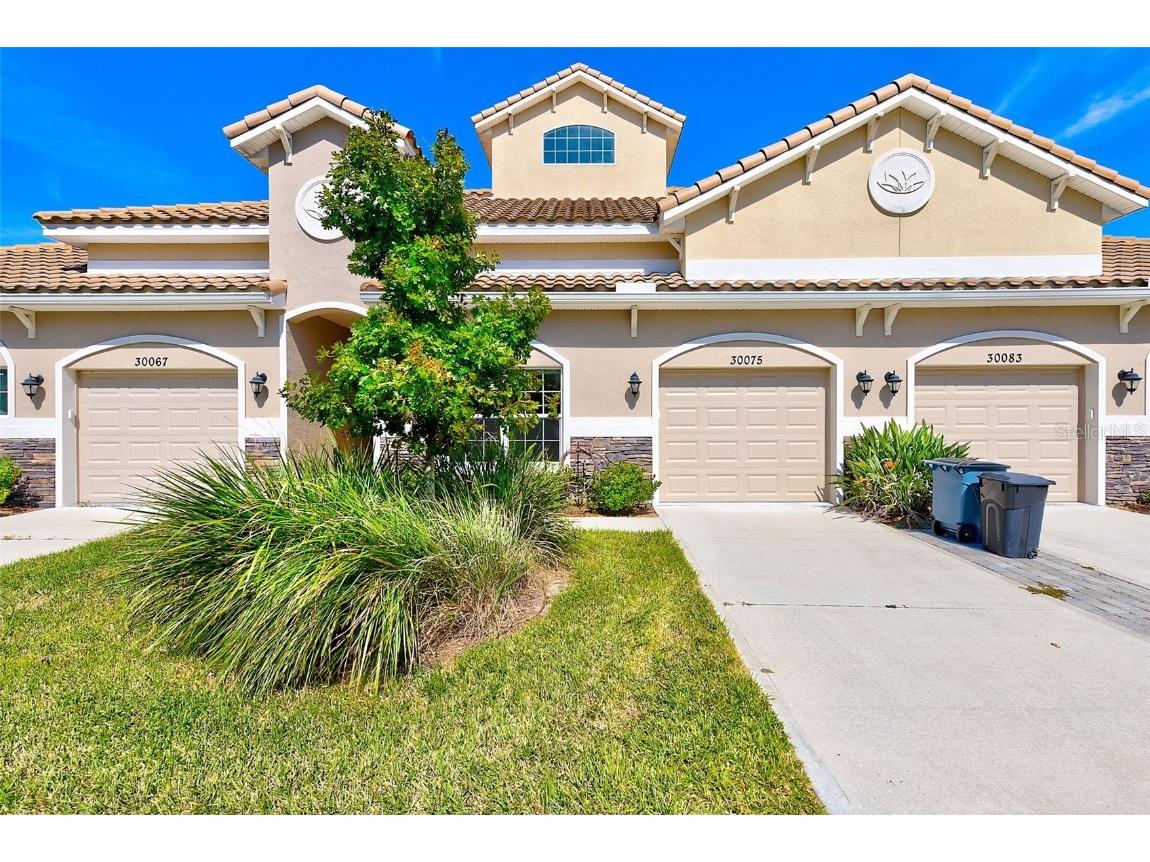 30075 Ganga Way Wesley Chapel FL 33543 T3481848 image1