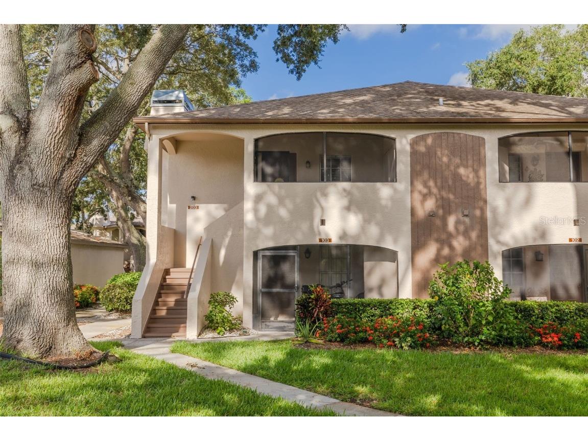 3008 Bonaventure Circle #203 Palm Harbor FL 34684 U8255033 image1