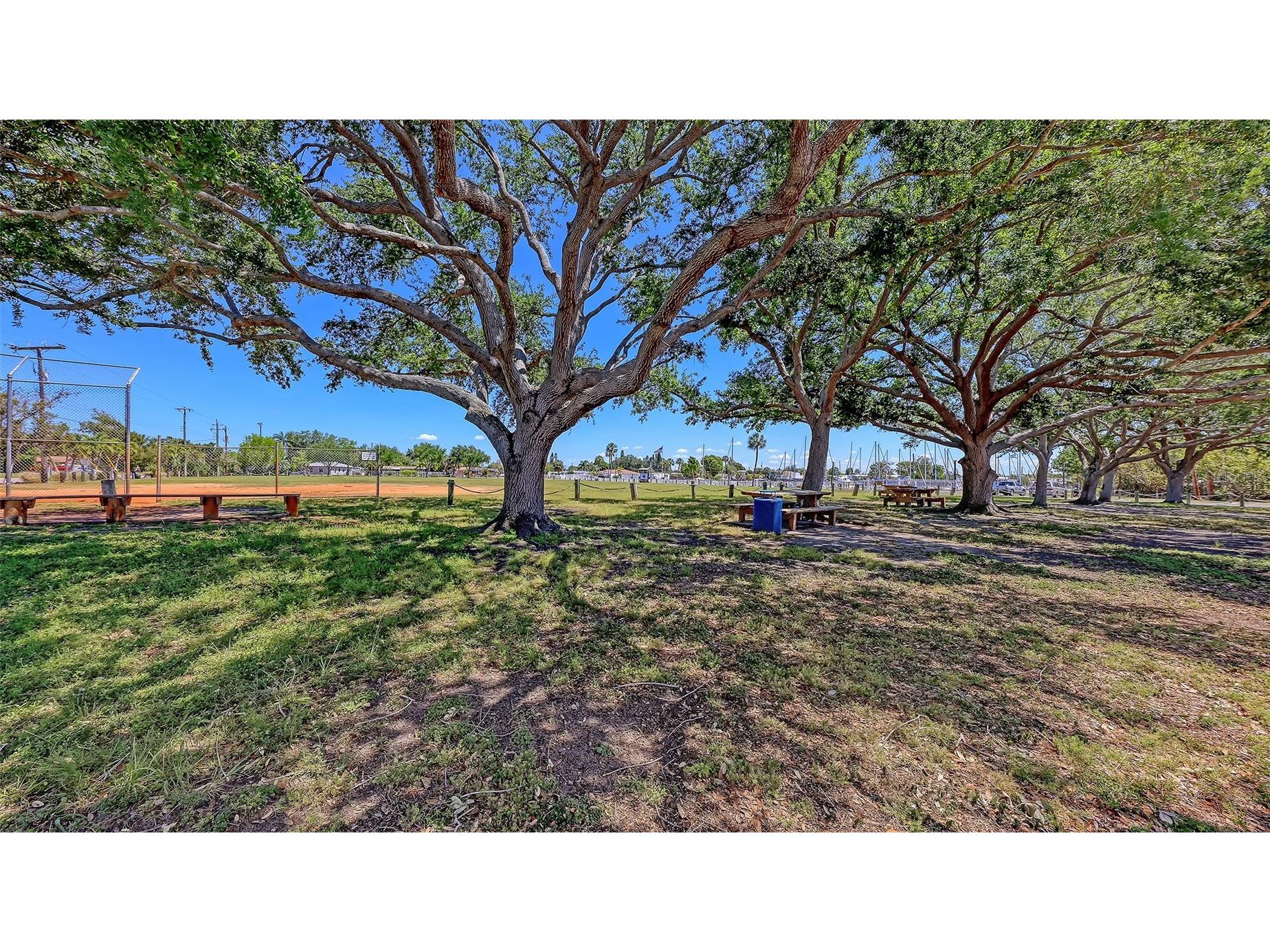 3008 Bowdoin Place Bradenton FL 34207 A4690900 image47