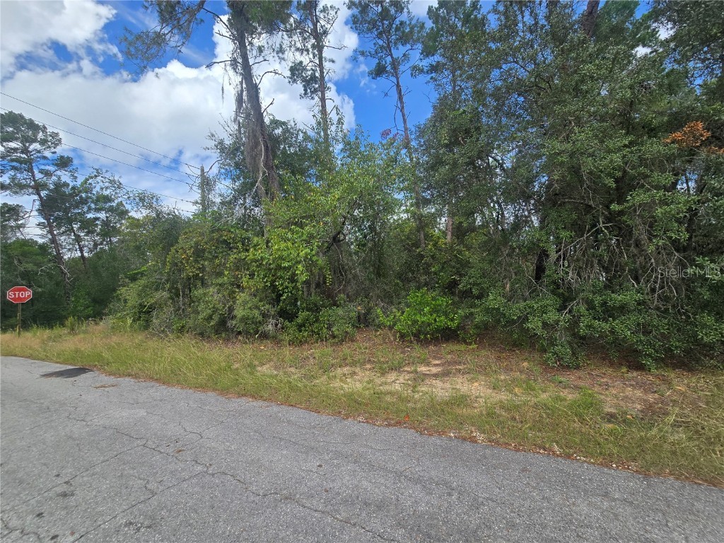 3008 Clearwood Street Inverness FL 34452 OM711244 image1