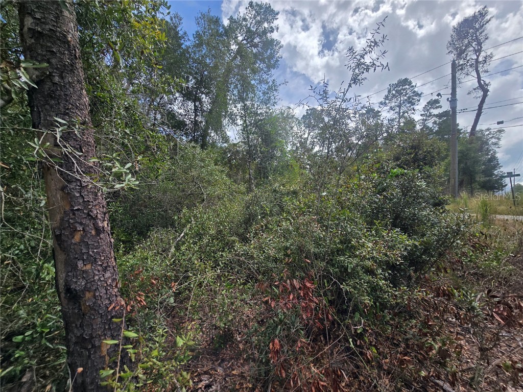 3008 Clearwood Street Inverness FL 34452 OM711244 image11