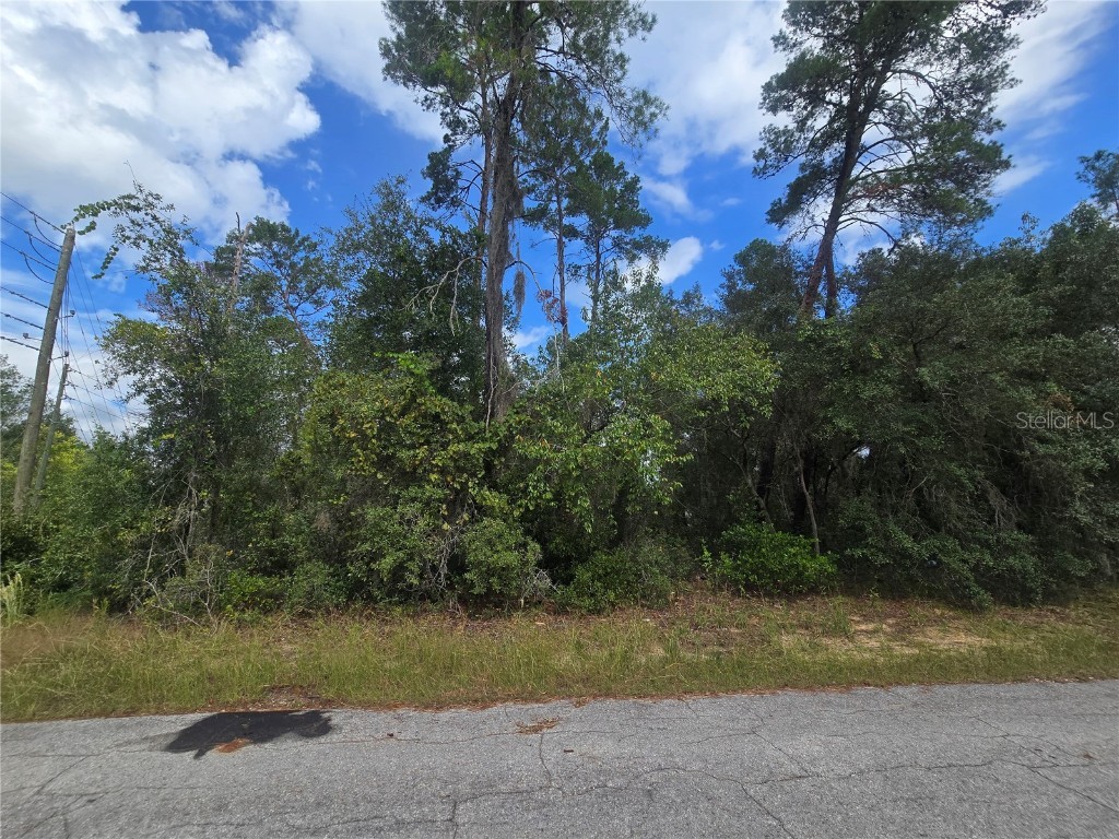 3008 Clearwood Street Inverness FL 34452 OM711244 image2