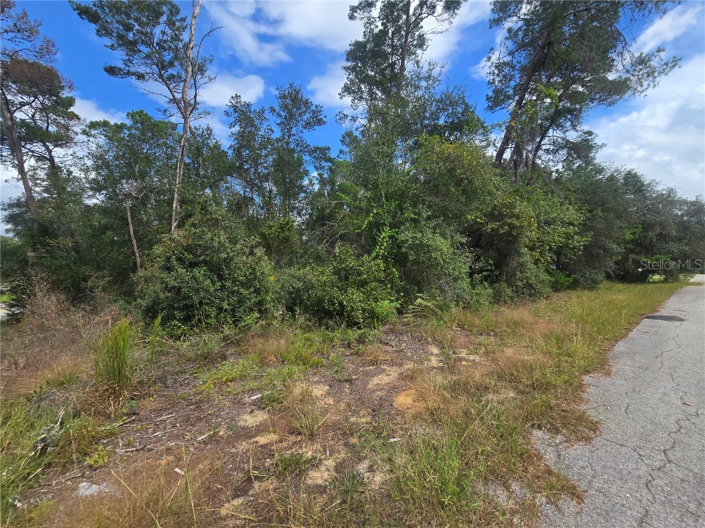 3008 Clearwood Street Inverness FL 34452 OM711244 image3