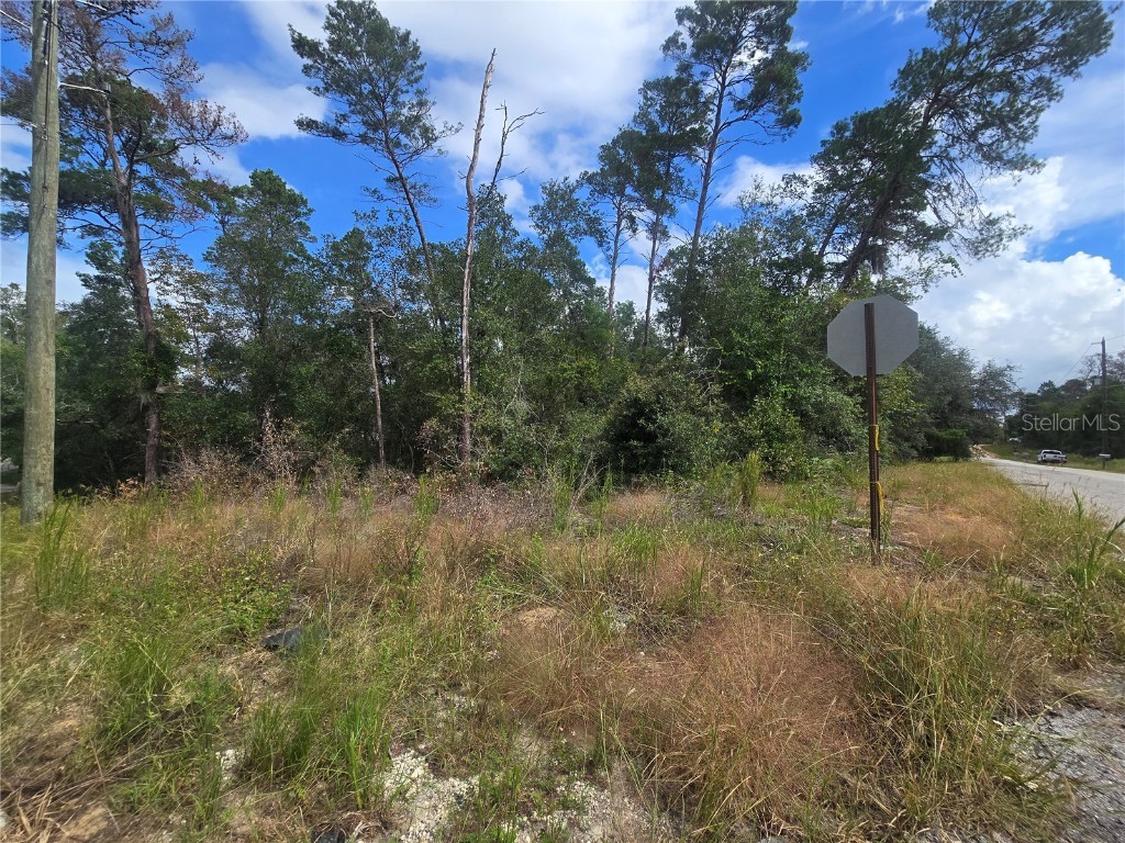 3008 Clearwood Street Inverness FL 34452 OM711244 image4