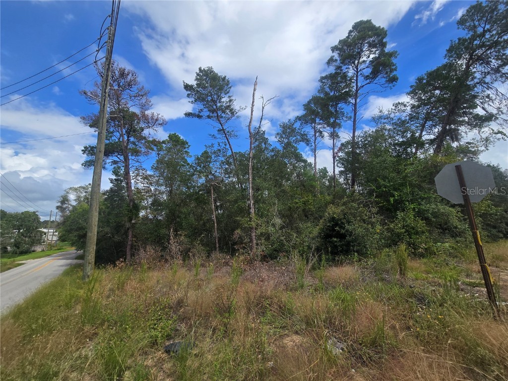 3008 Clearwood Street Inverness FL 34452 OM711244 image5