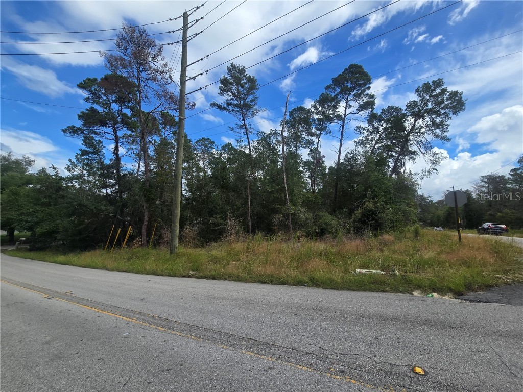 3008 Clearwood Street Inverness FL 34452 OM711244 image6