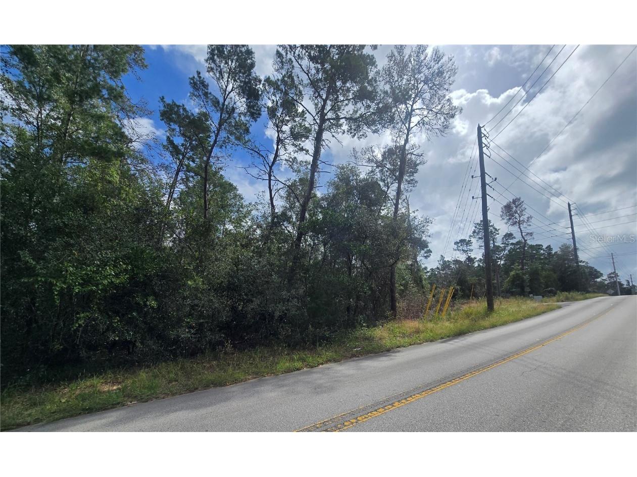 3008 Clearwood Street Inverness FL 34452 OM711244 image7