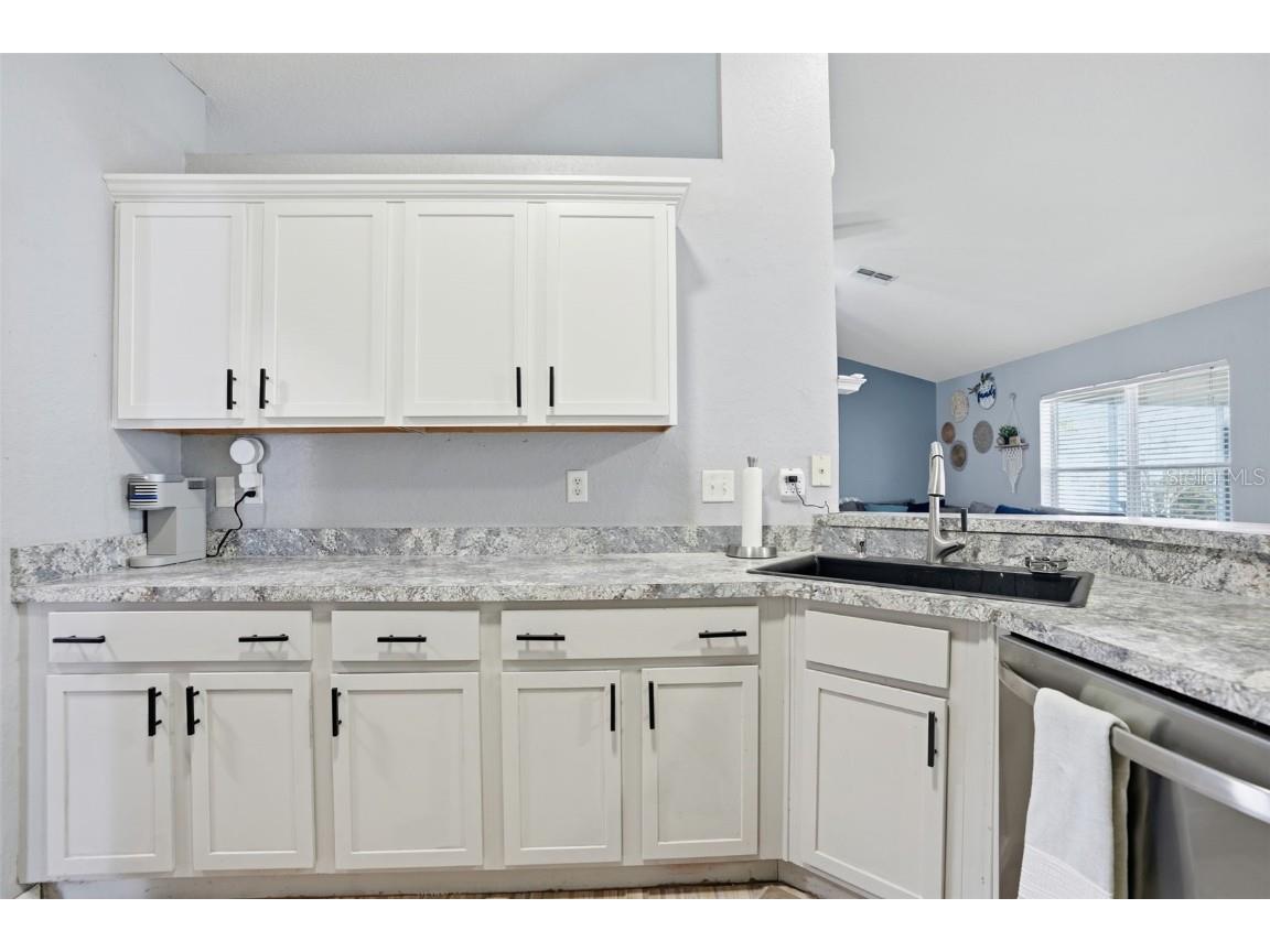 3008 Cloudcroft Avenue Spring Hill FL 34609 TB8446731 image12