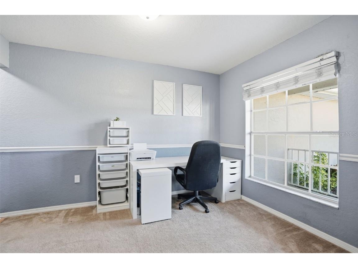 3008 Cloudcroft Avenue Spring Hill FL 34609 TB8446731 image19