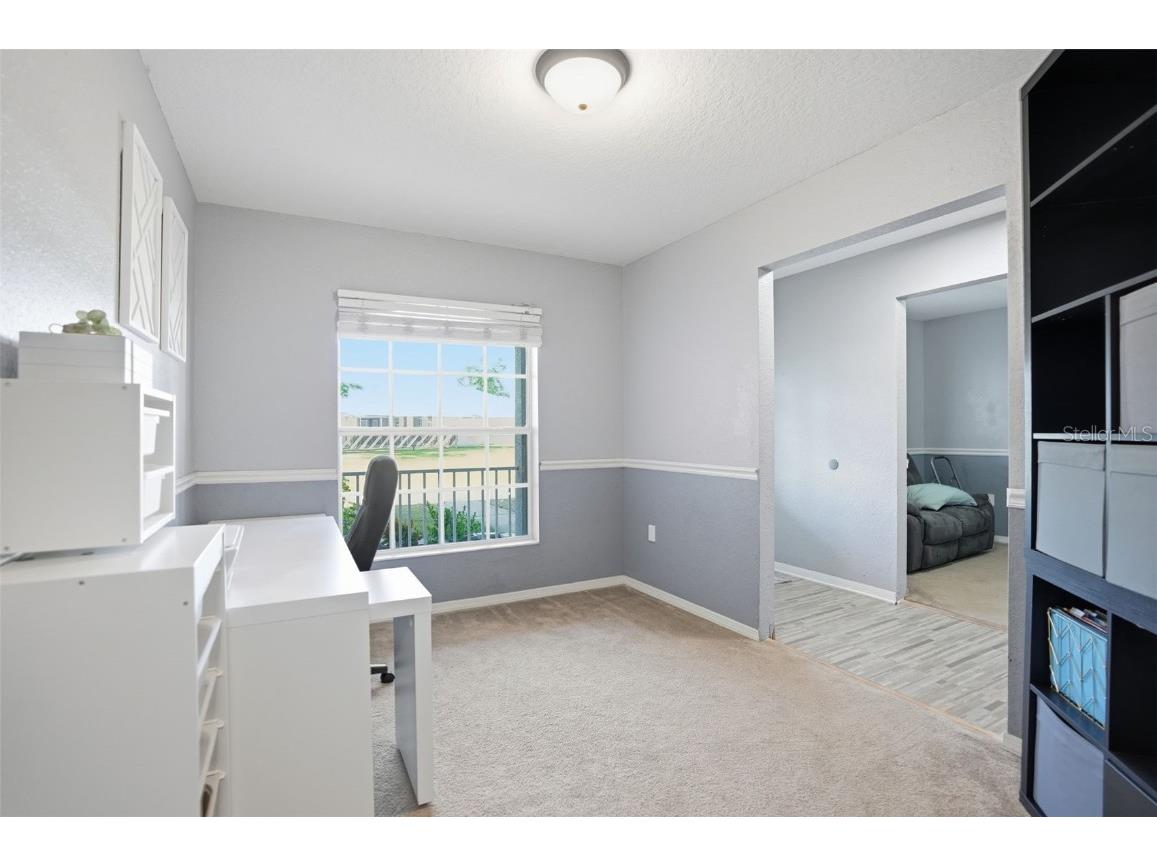 3008 Cloudcroft Avenue Spring Hill FL 34609 TB8446731 image20