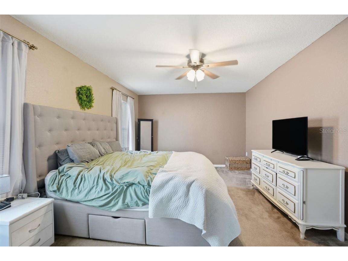 3008 Cloudcroft Avenue Spring Hill FL 34609 TB8446731 image31