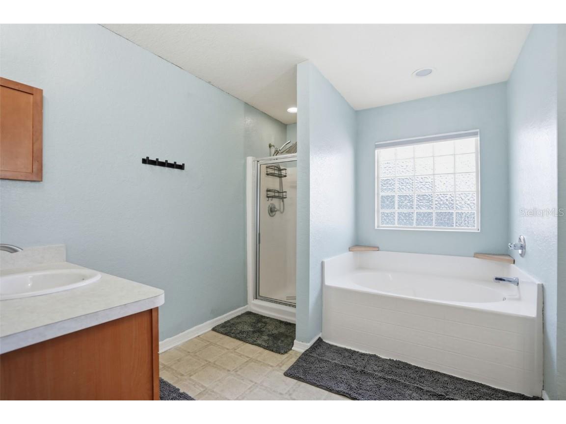 3008 Cloudcroft Avenue Spring Hill FL 34609 TB8446731 image35