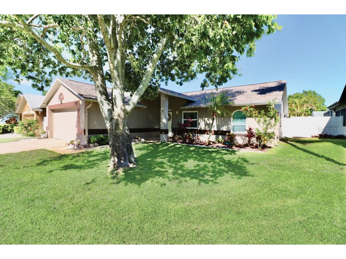 3008 Lahlor Lane Palm Harbor FL 34684 T3518383 image1